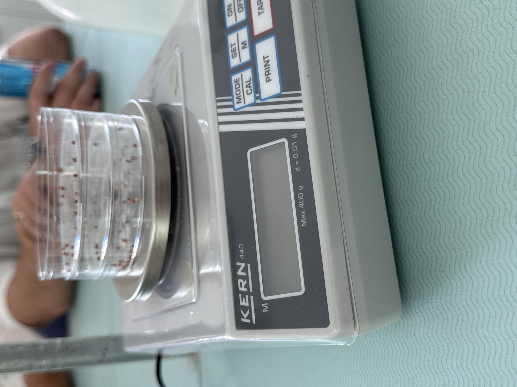 Scientific weighing activity observed at Sofia building