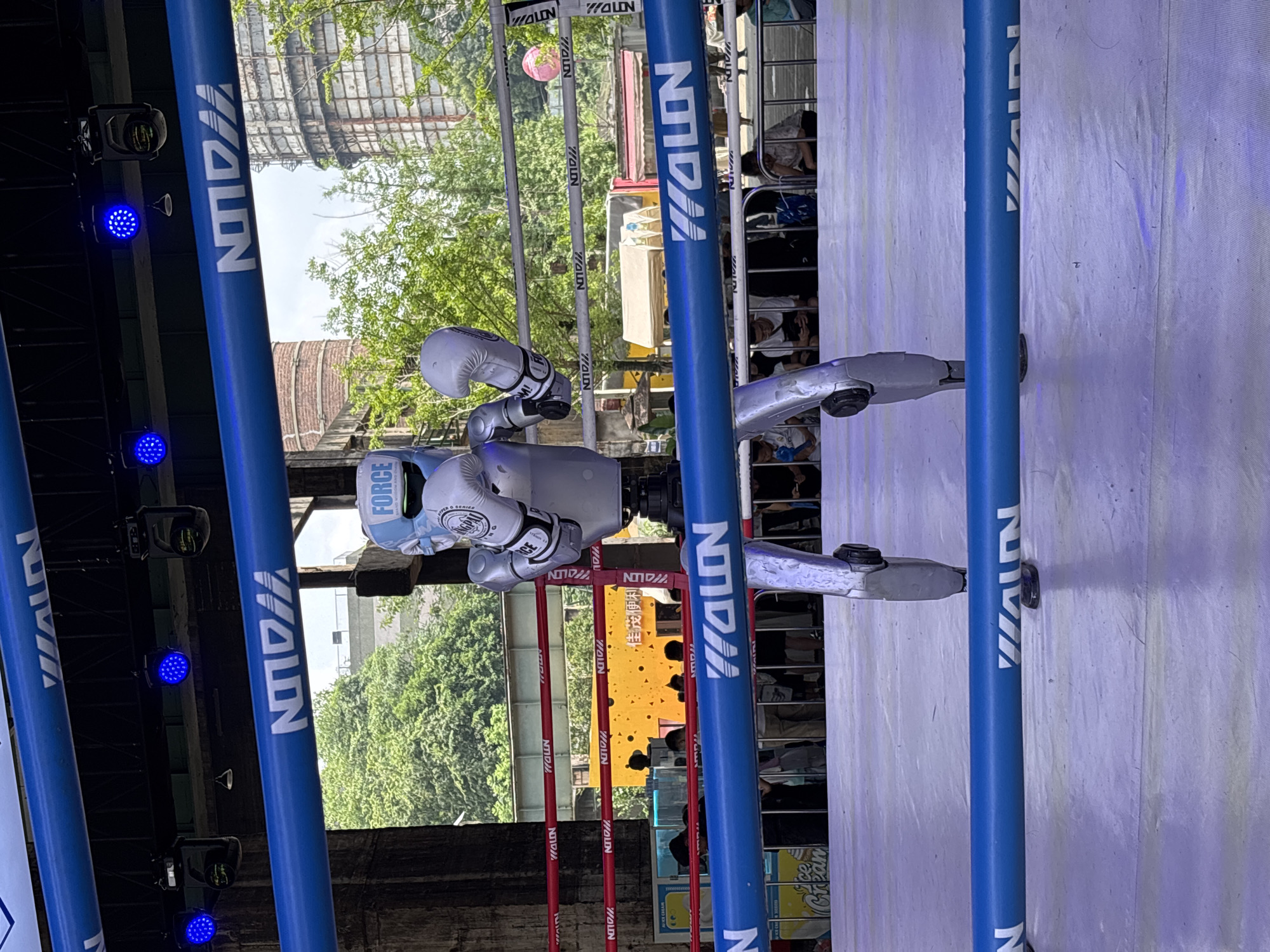 Boxing and humanoid robots on display in Dadukou, China