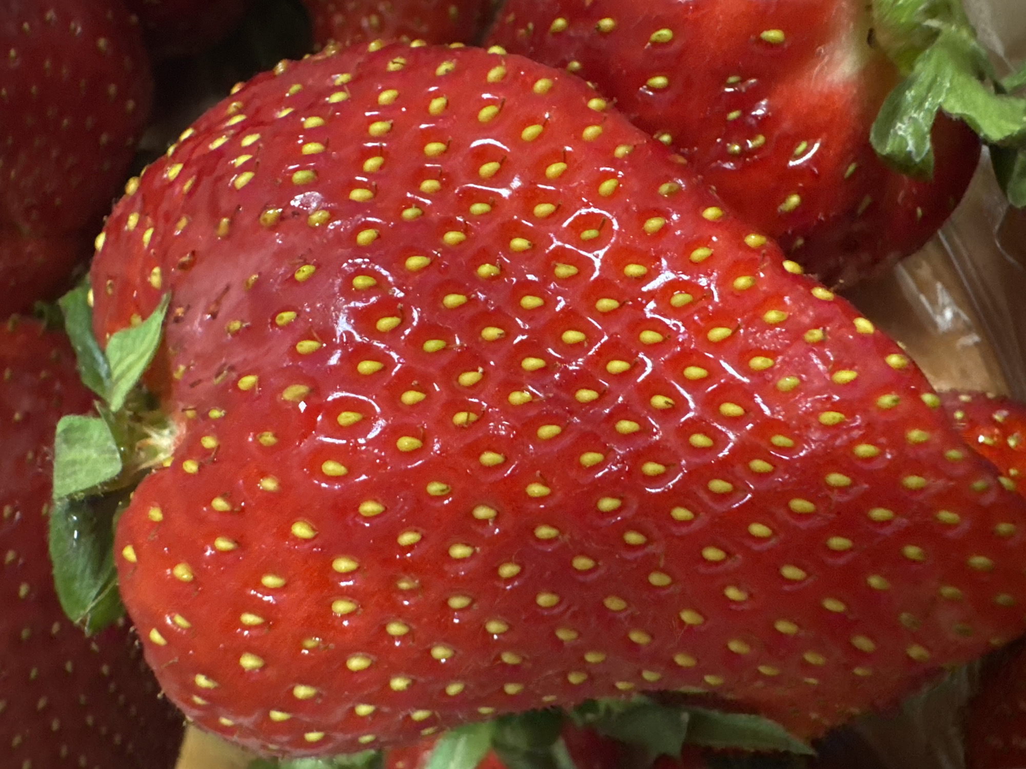 Ripe strawberries observed in Chaikovsky, Russia