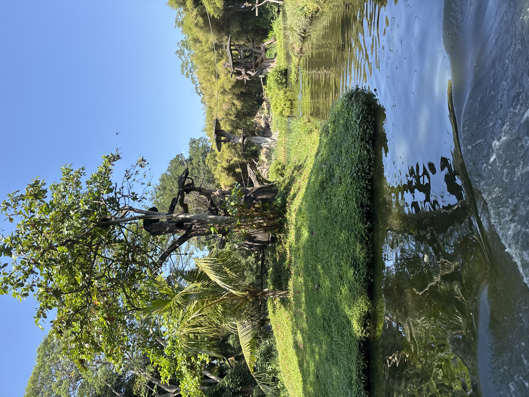 Scenes from a Bali wildlife park: hippos, ostriches, and greenery