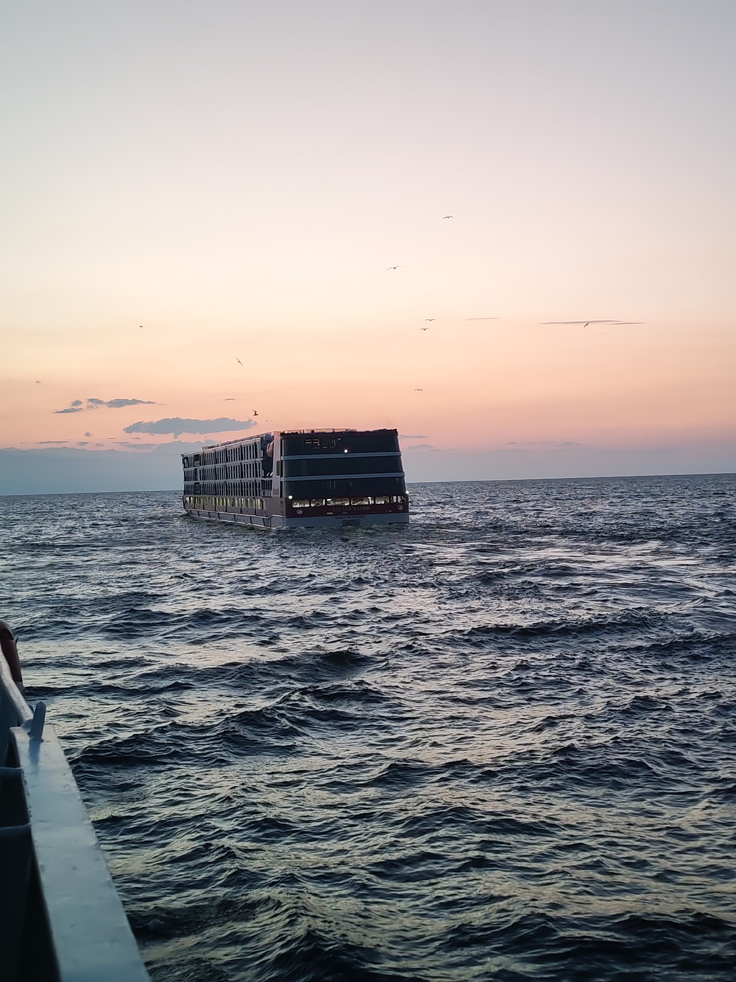 River cruise ships and cargo vessels transit near Mologa at dusk