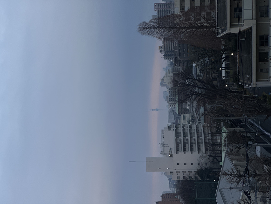 Overcast urban vista captured from elevated Nakano viewpoint
