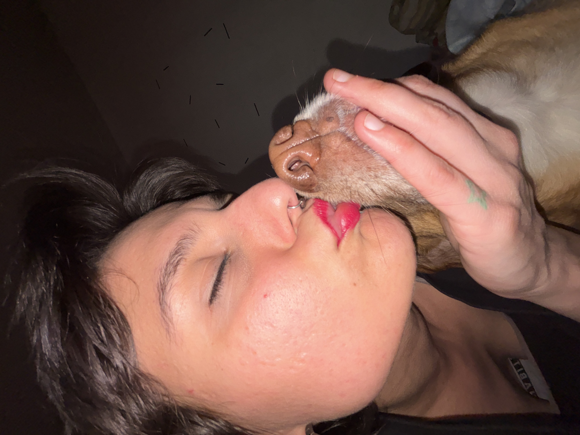 Person leaves lipstick kisses on dog in Sofia fabric shop