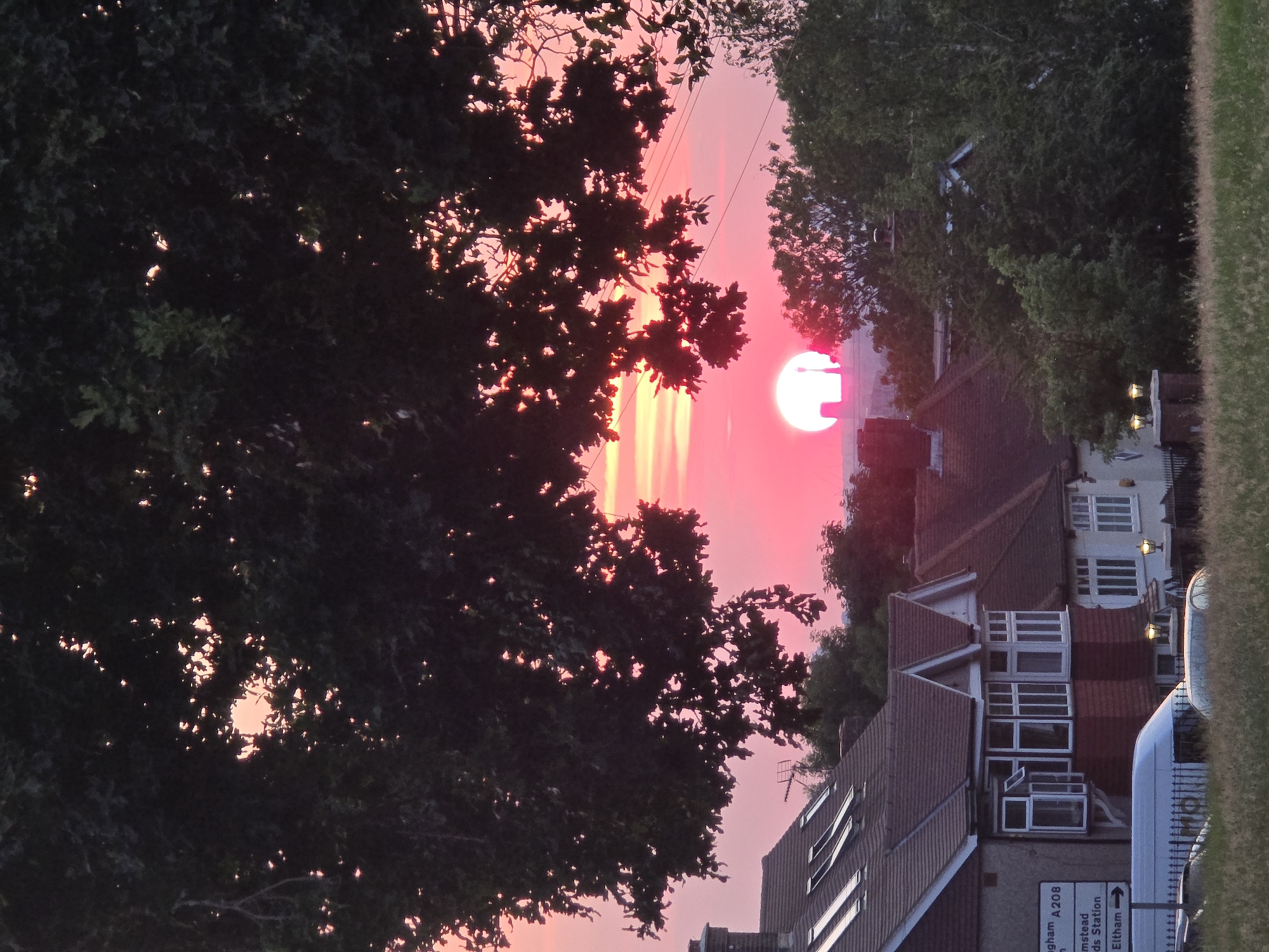 Vivid London sunset framed by silhouetted trees