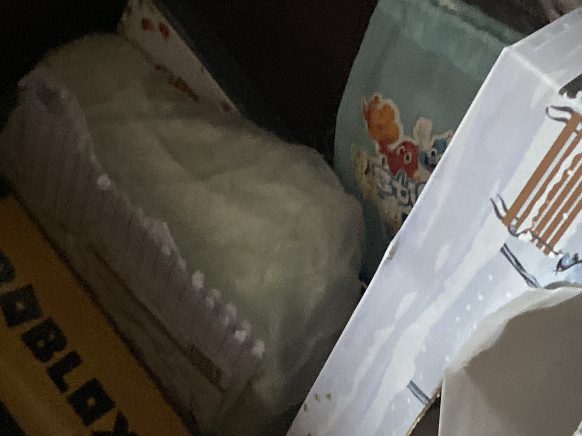Sofia resident documents gaming gear and personal belongings