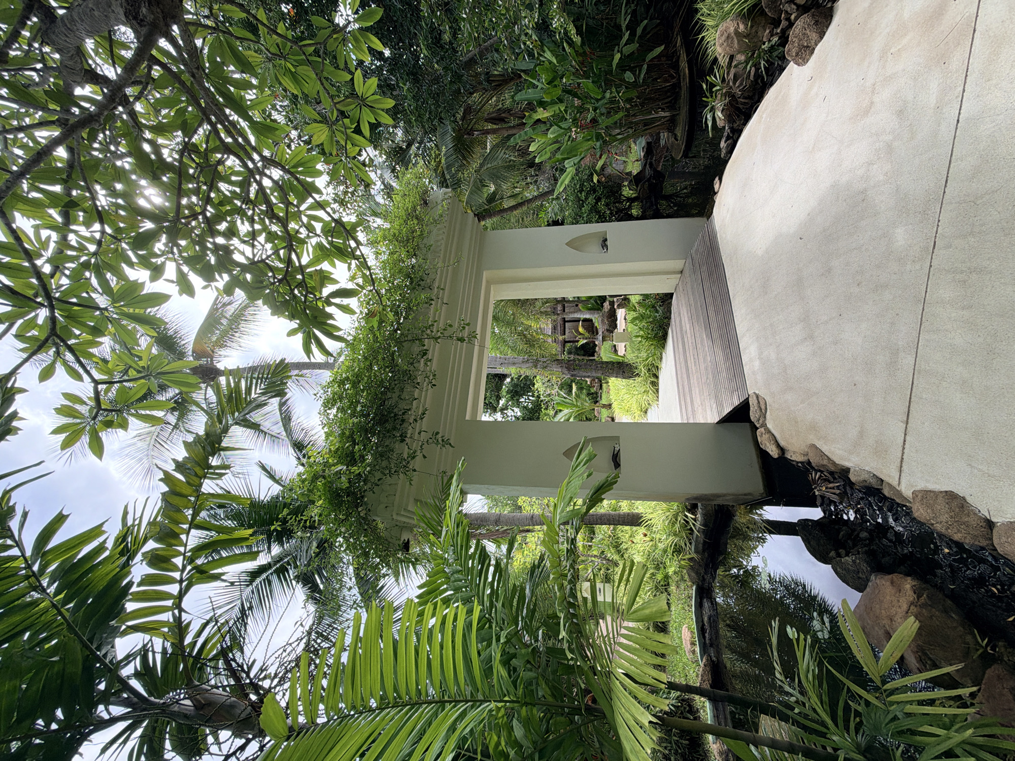 Flowing black robe through a lush Ko Samui garden