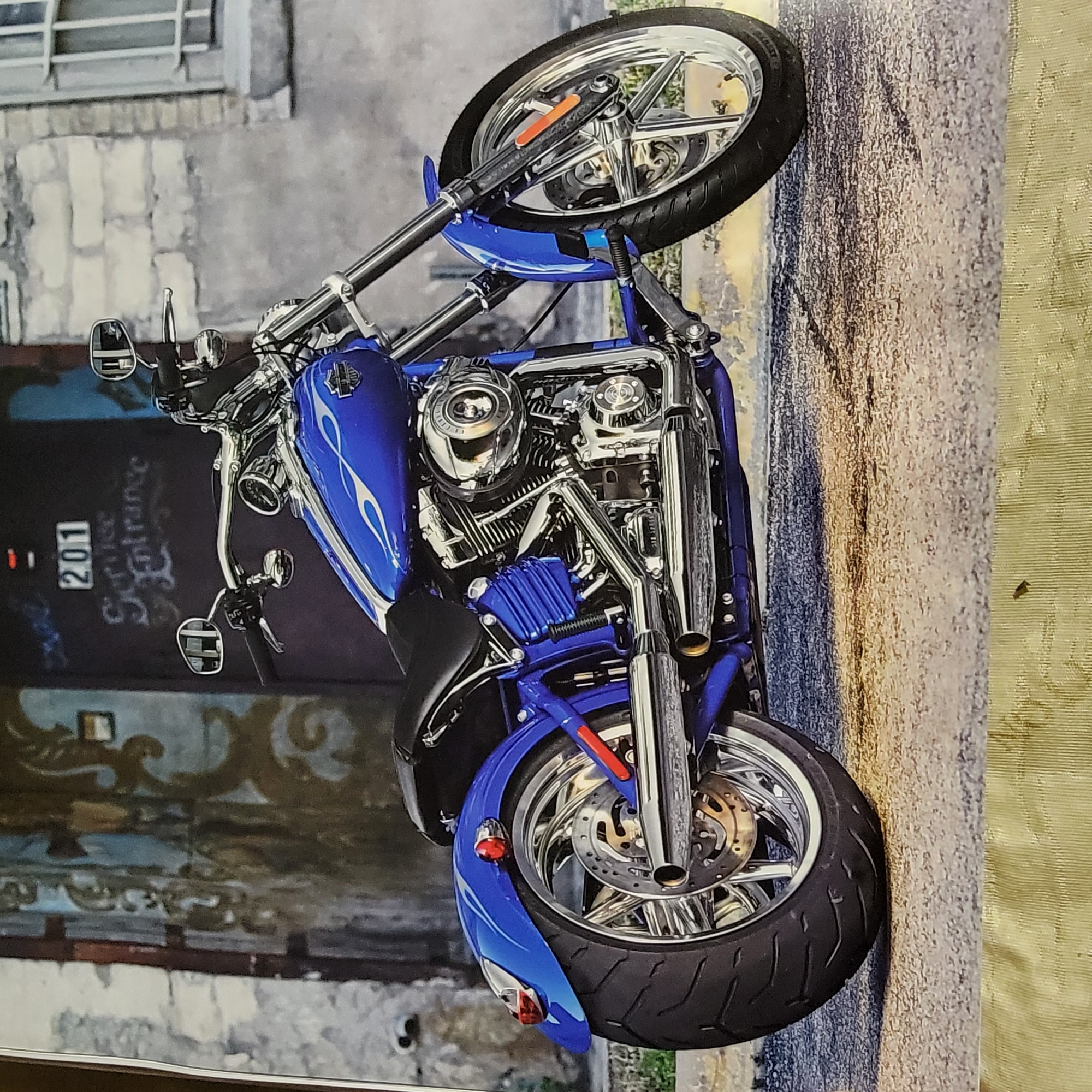 Diverse motorcycle lineup — cruisers, customs, and racers on display
