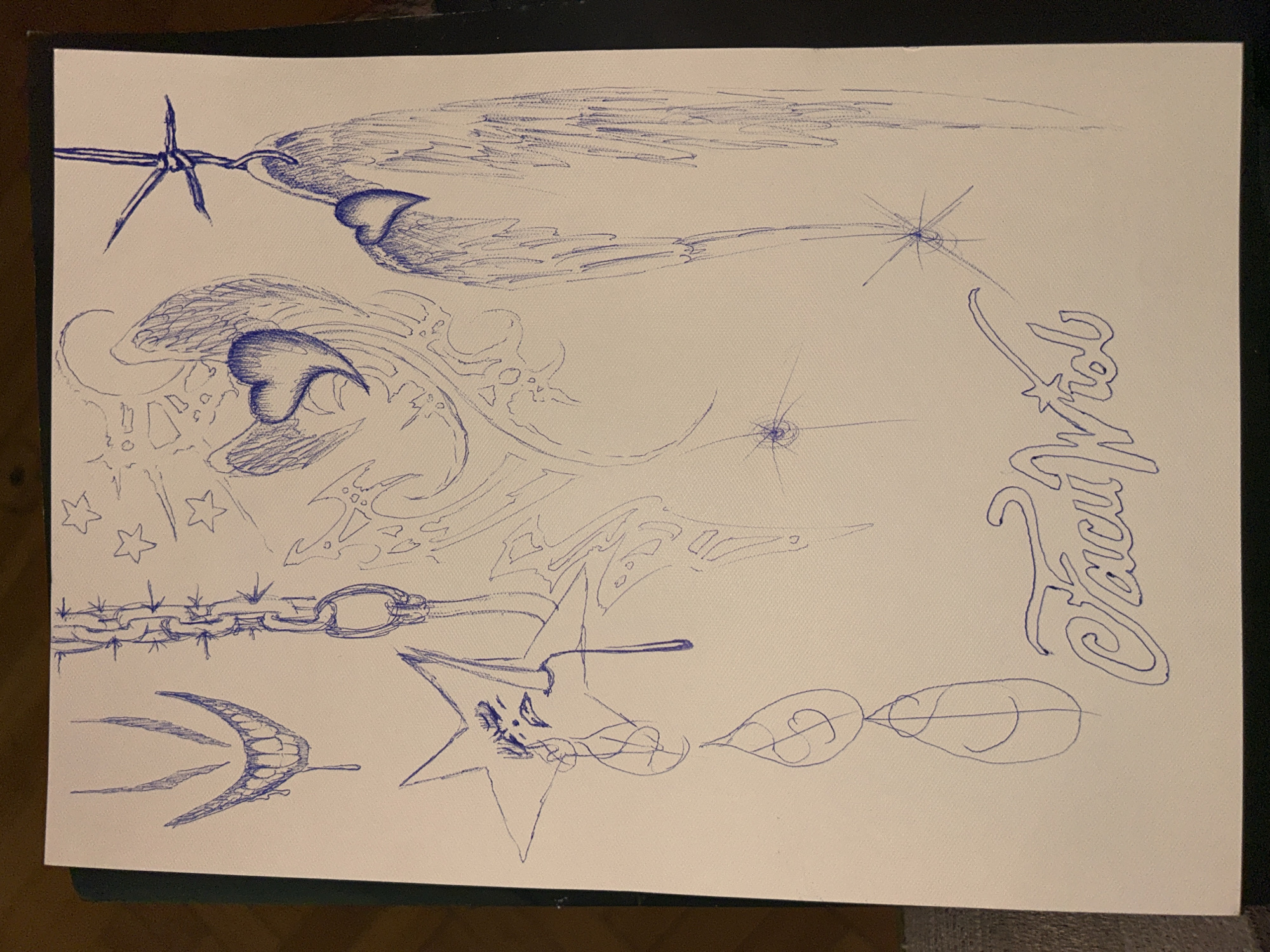 Blue ink drawing depicts barbed wire with wings in Buenos Aires