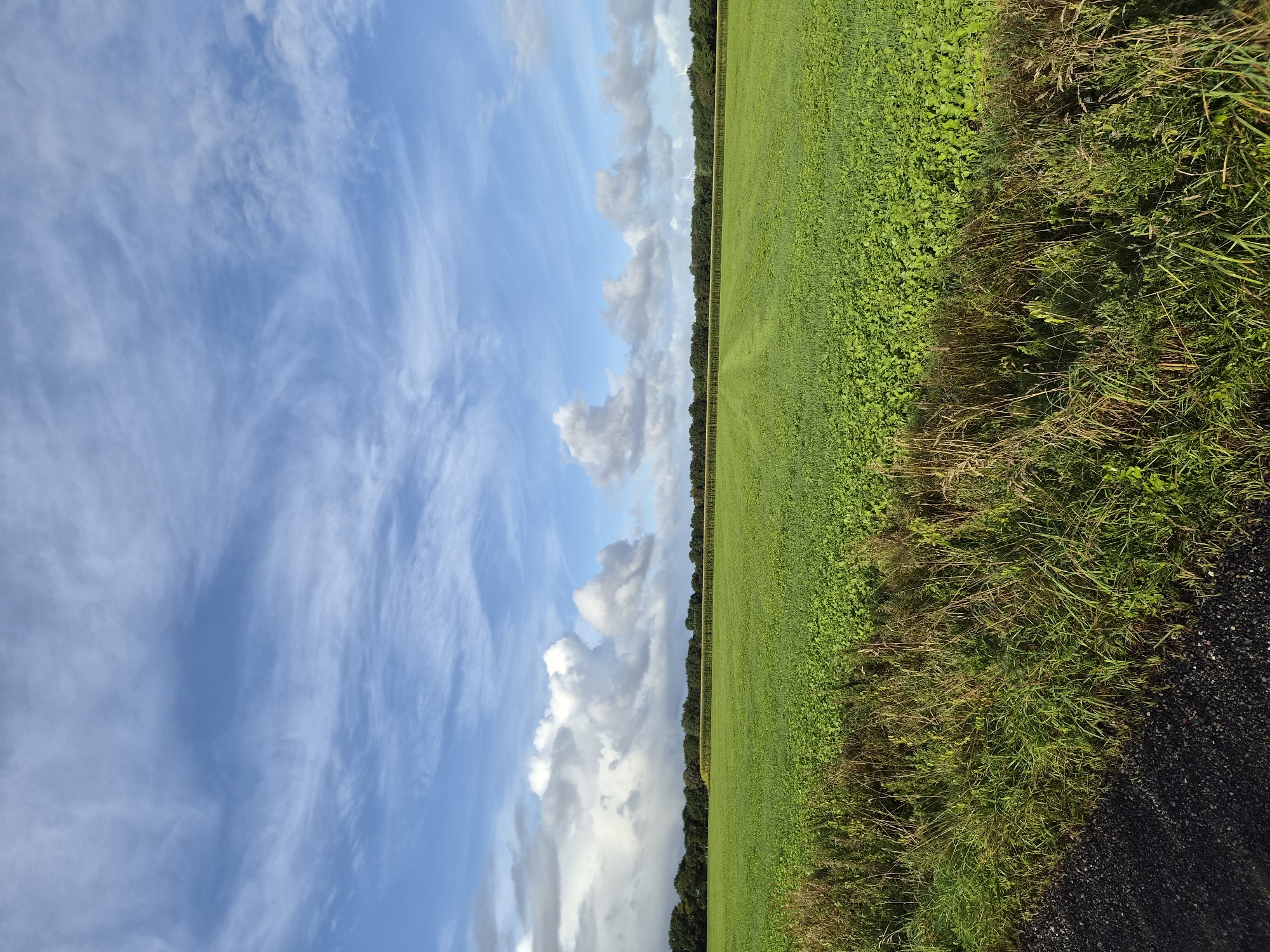 Dog walk through Schiffdorf's summer fields and farm paths
