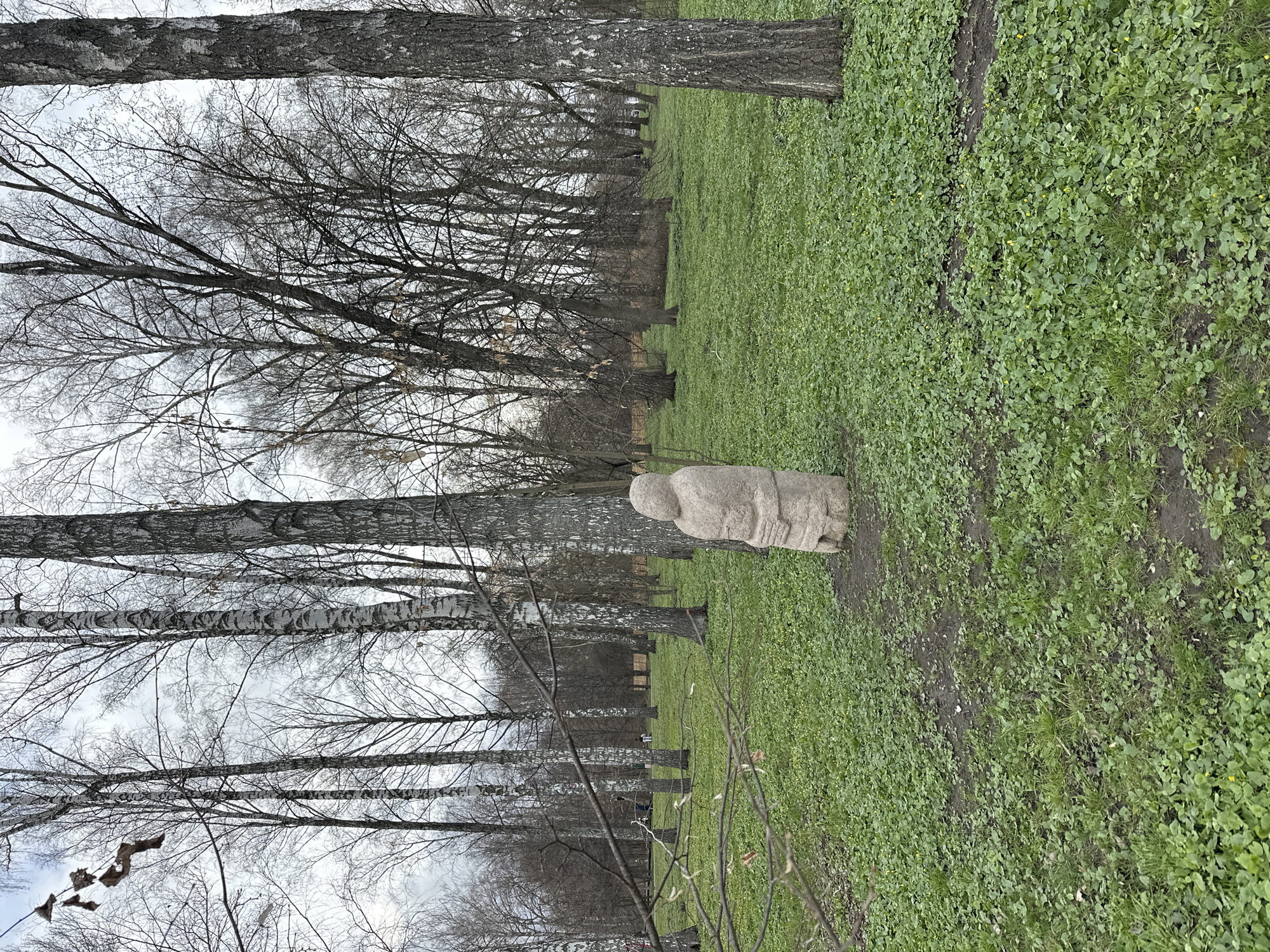 Man exercises at outdoor gym in Kursk park