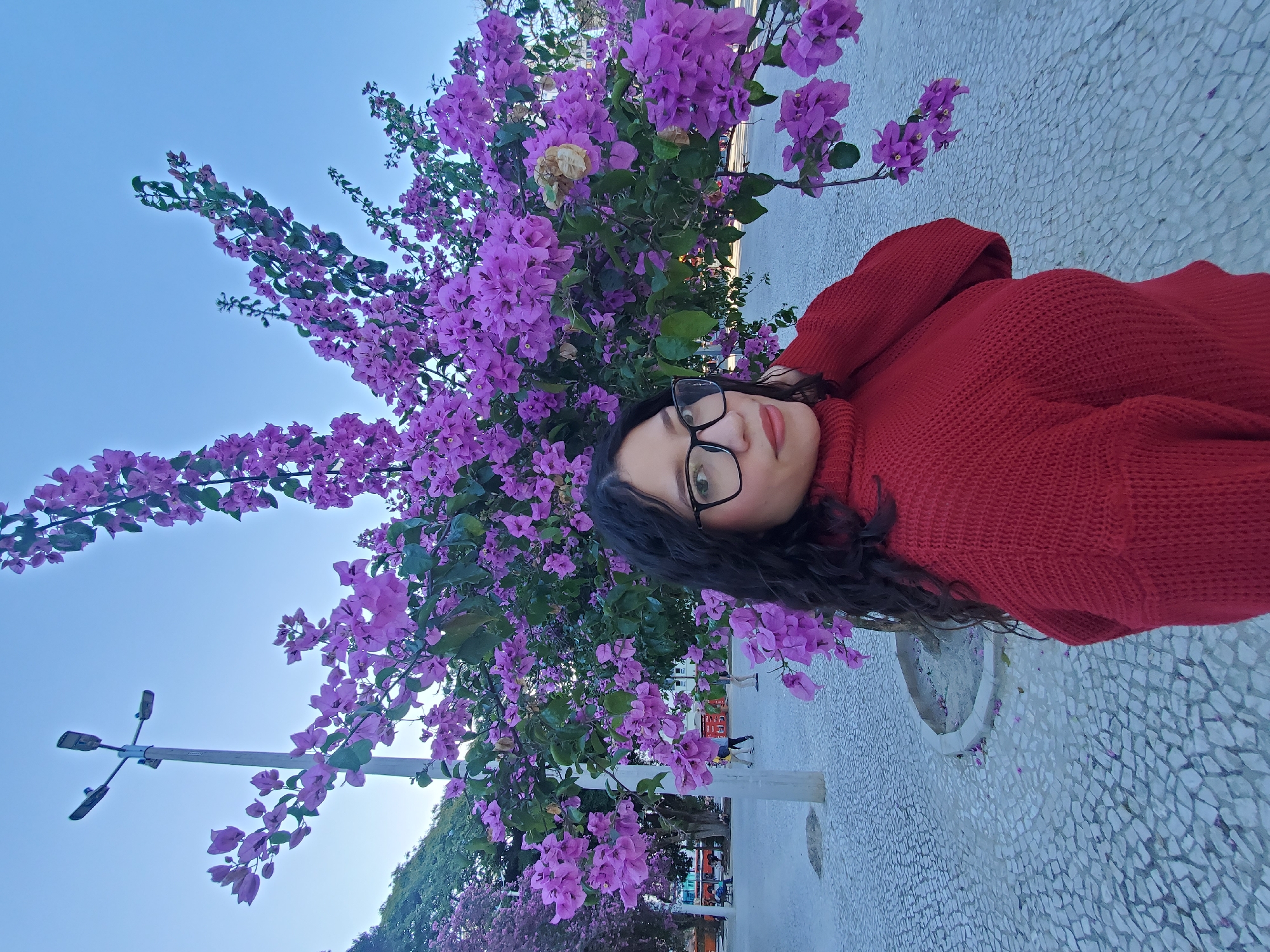 Evening documentation of Curitiba's urban landscape and flowering trees