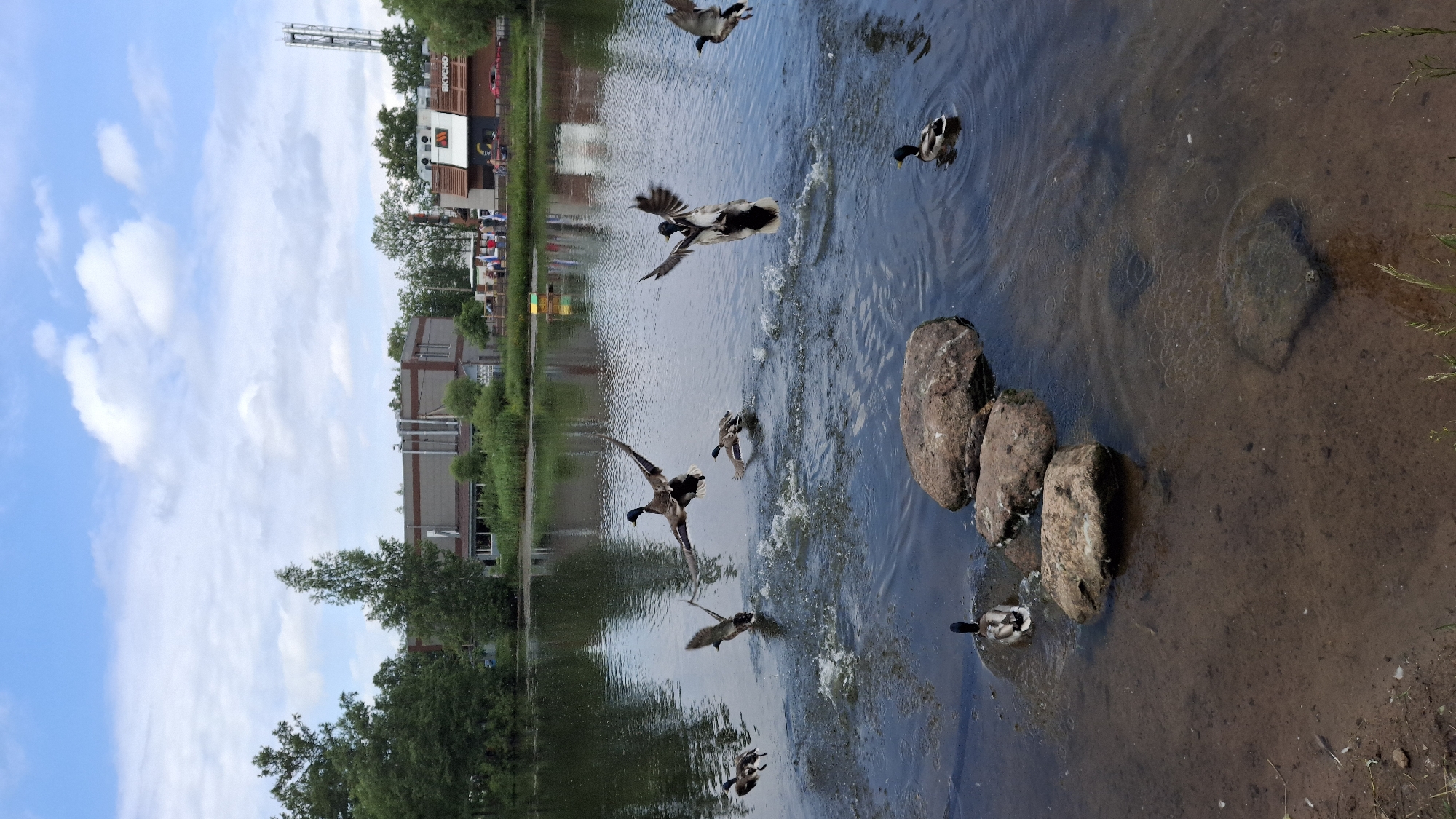 Morning park life captured in Saint Petersburg