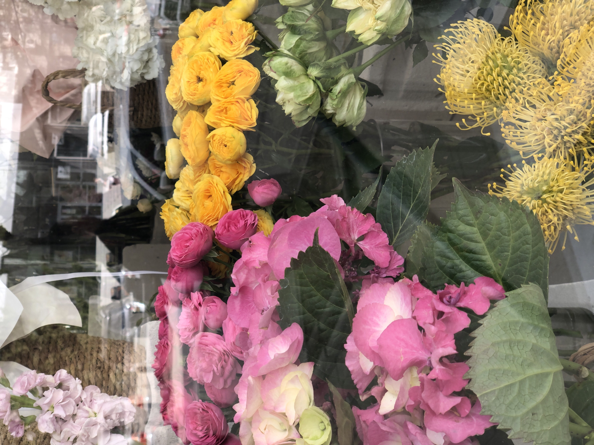 Morning street documentation captures Krasnoyarsk flowers and architecture