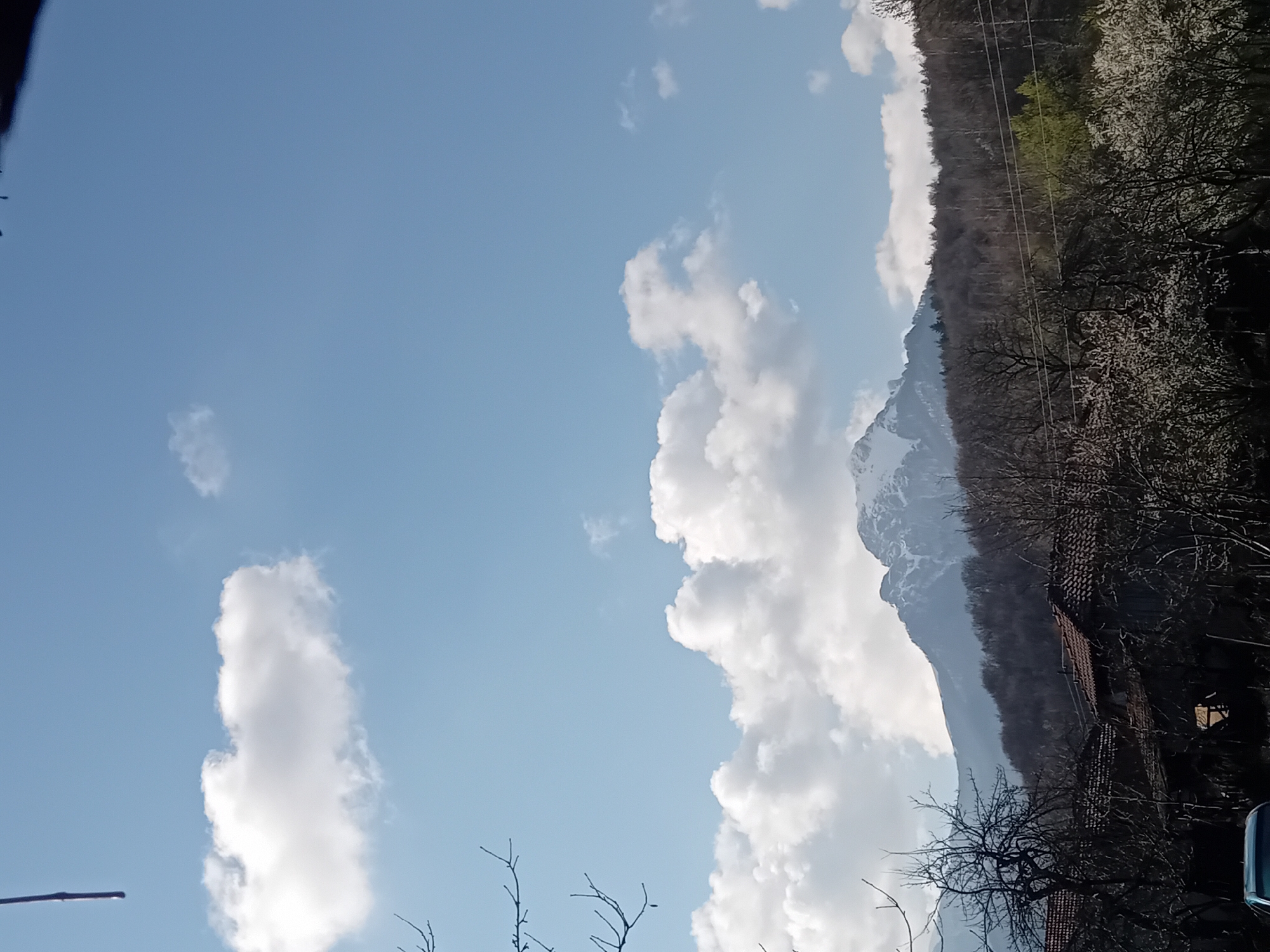 Spring garden scenes documented over 16 minutes near mountains
