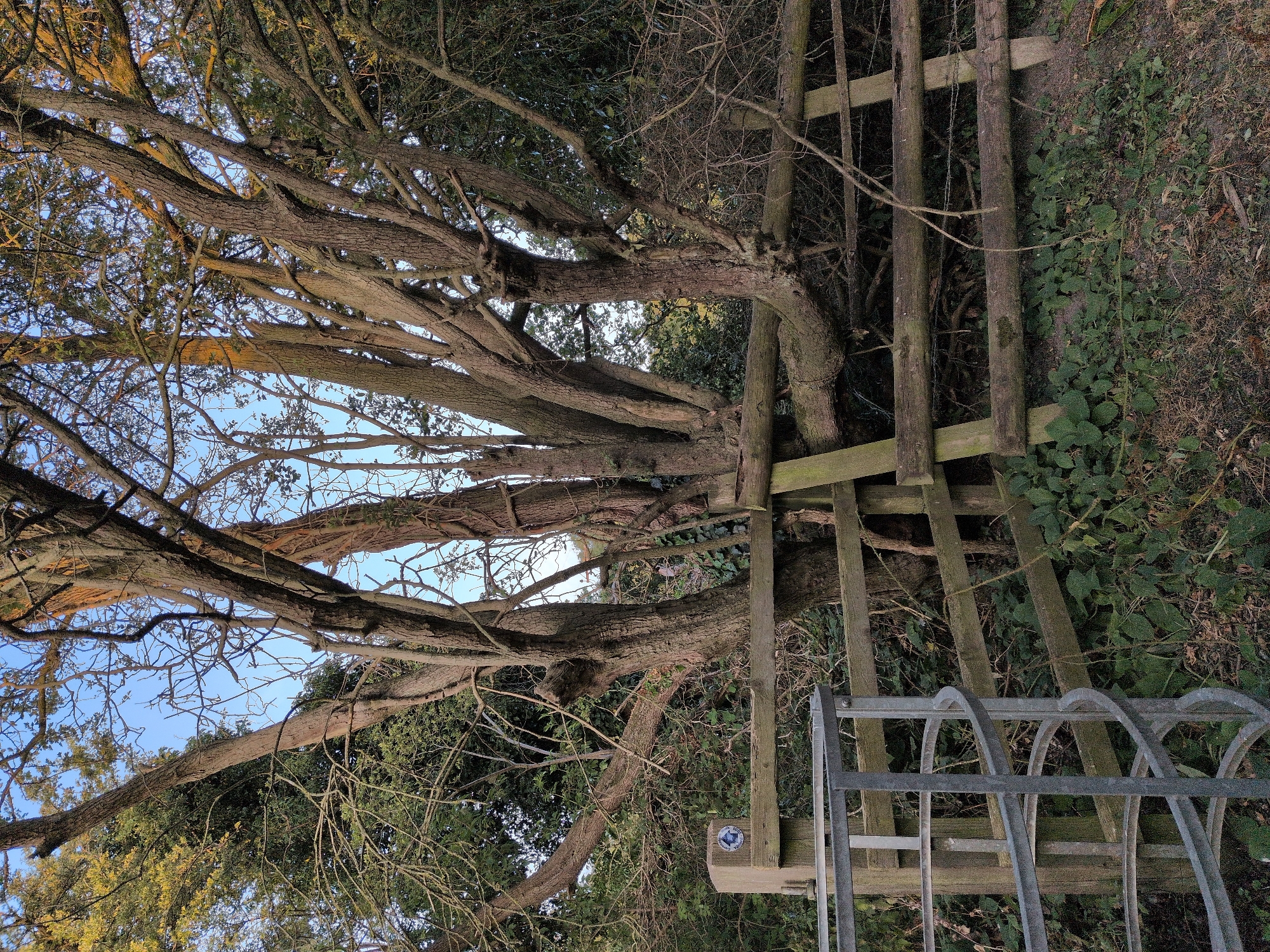 Dawley, United Kingdom