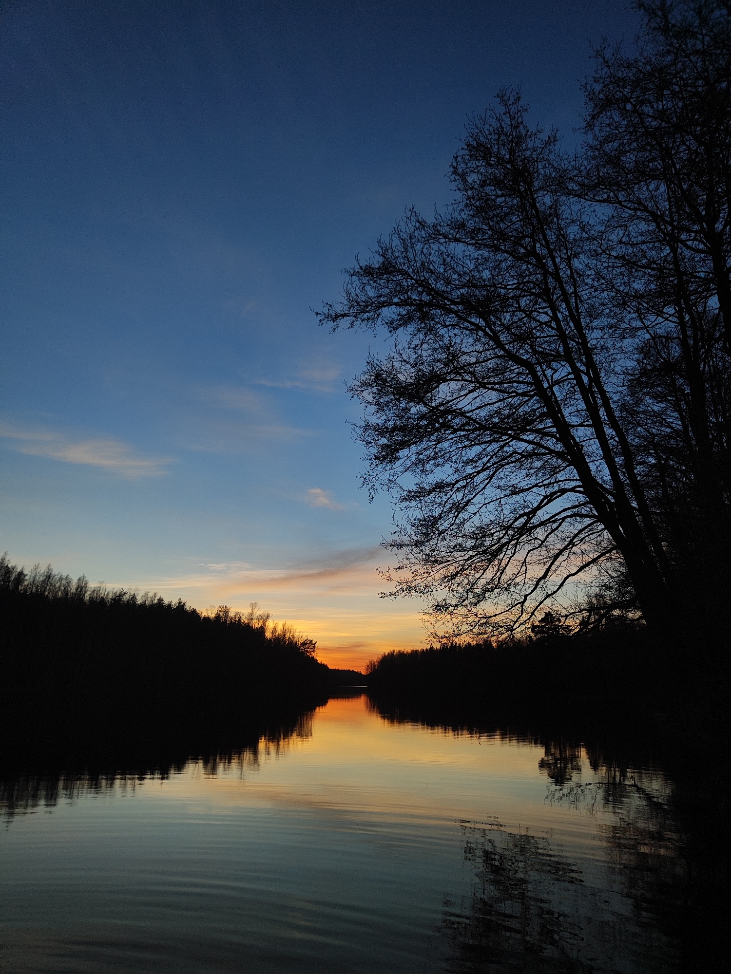 Twilight gathering documented with cake, walking figure, waterside scenes