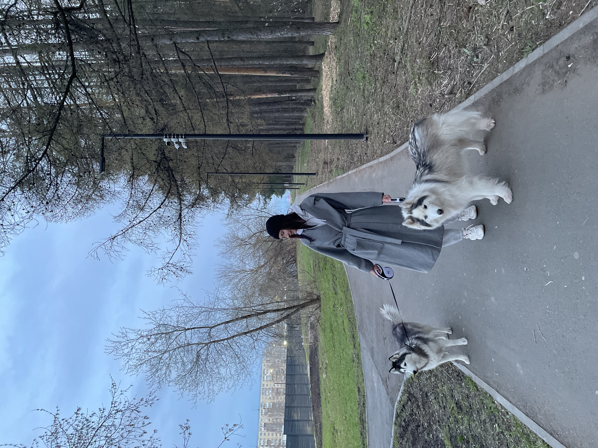 Person walks two dogs in Izhevsk park