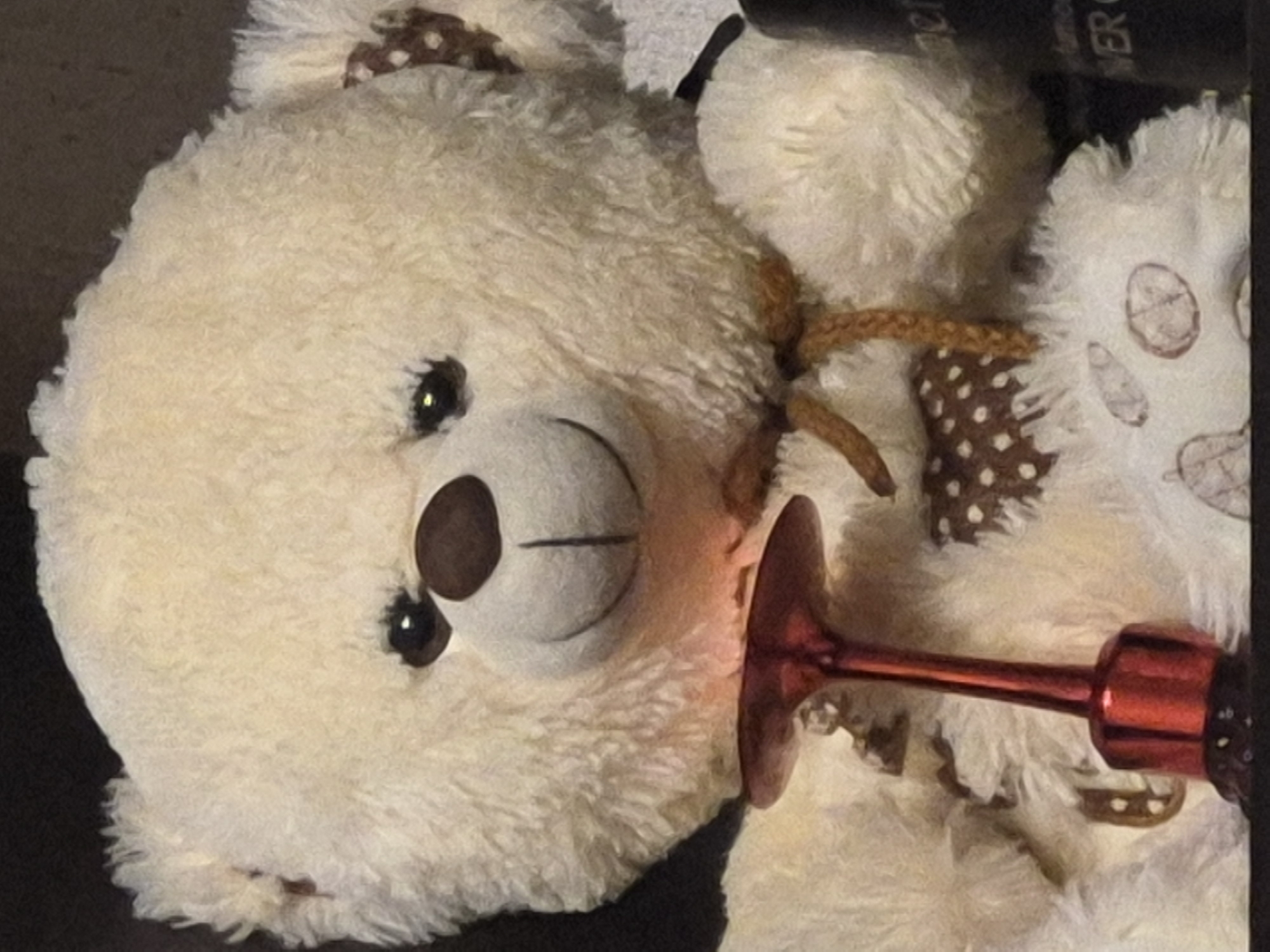Close-up of a cream teddy bear with polka-dot ribbon