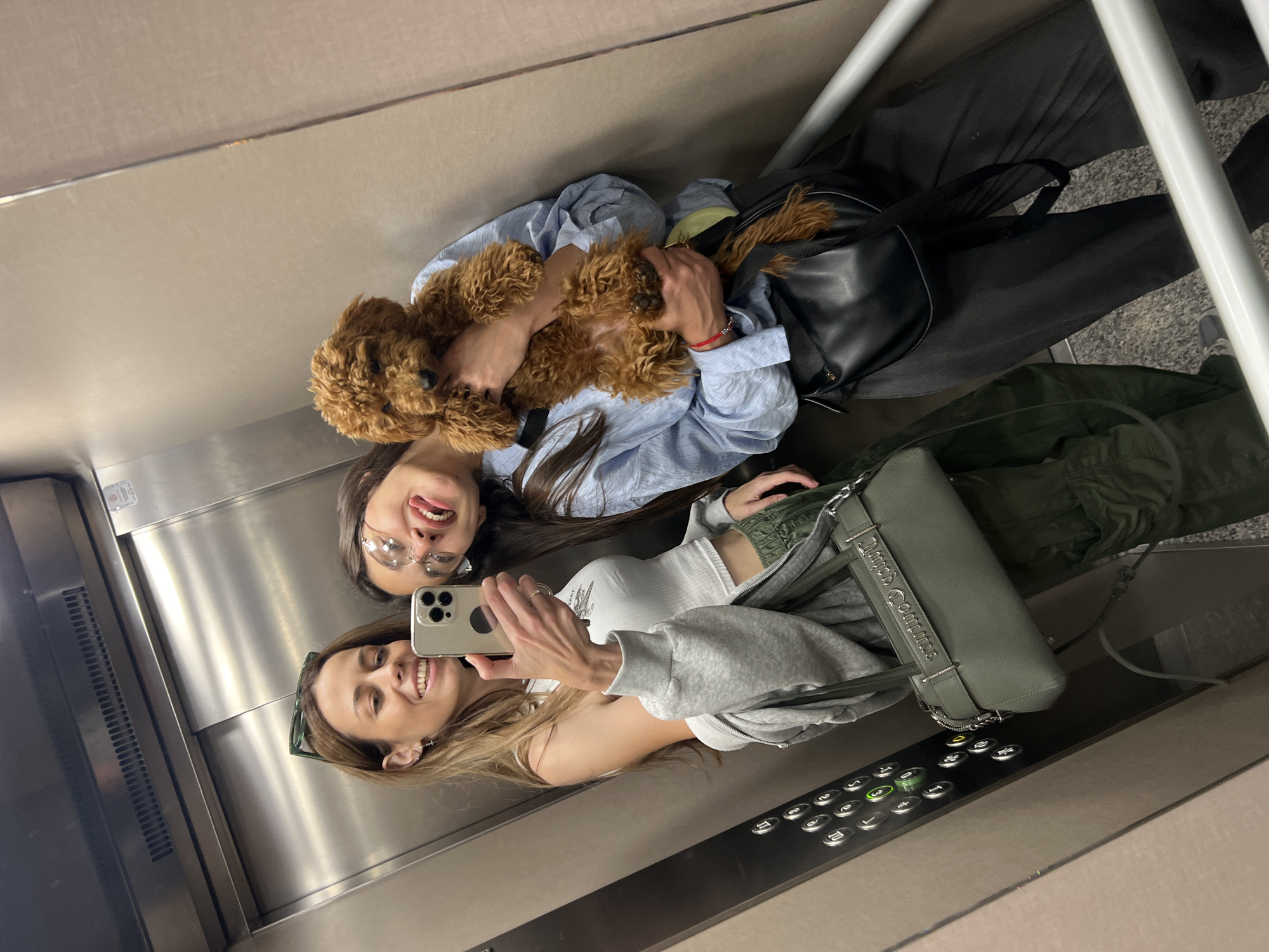Women photograph with poodle in Montenegro elevator