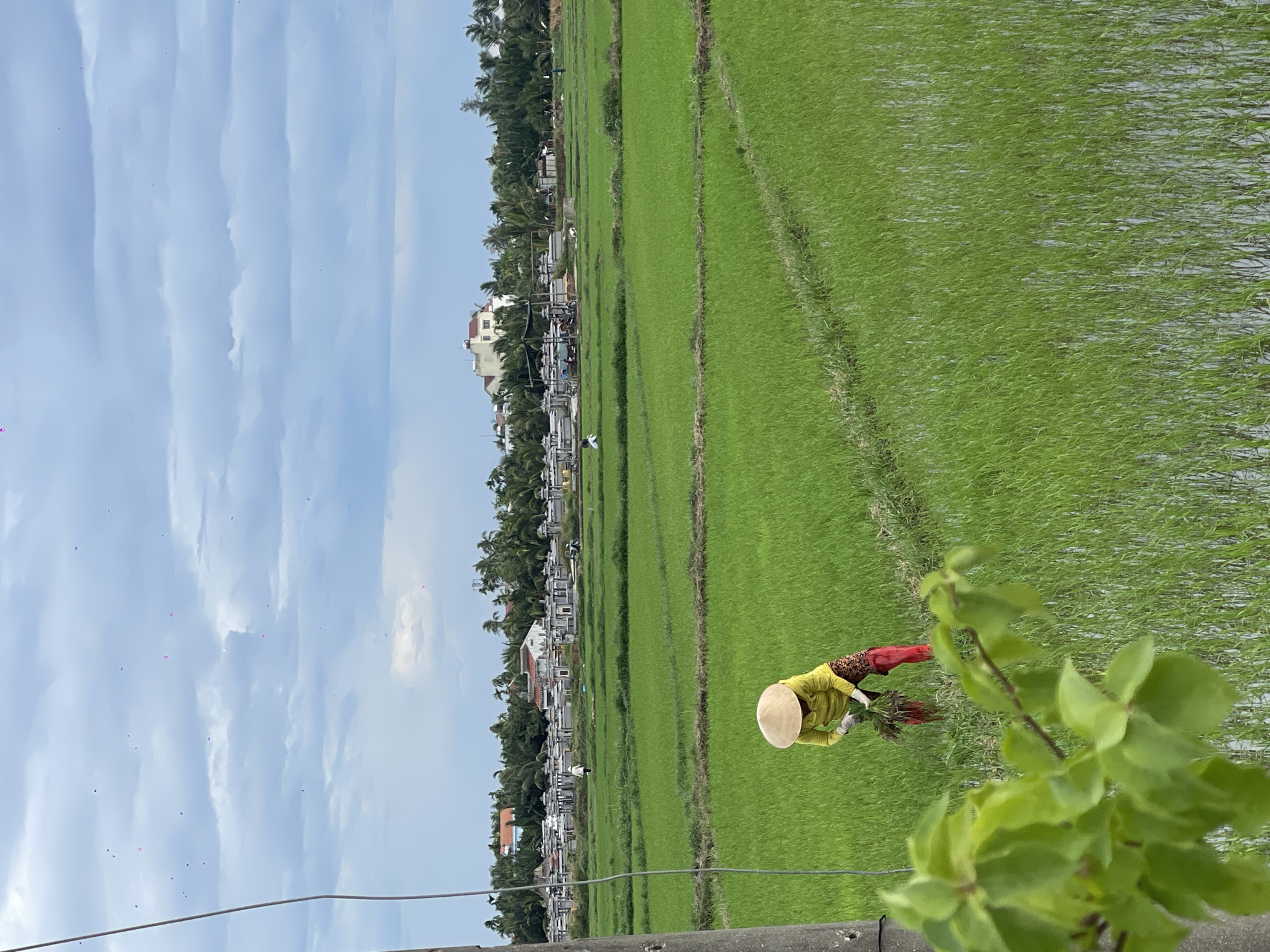 Quiet morning scenes from Hoi An's streets and countryside