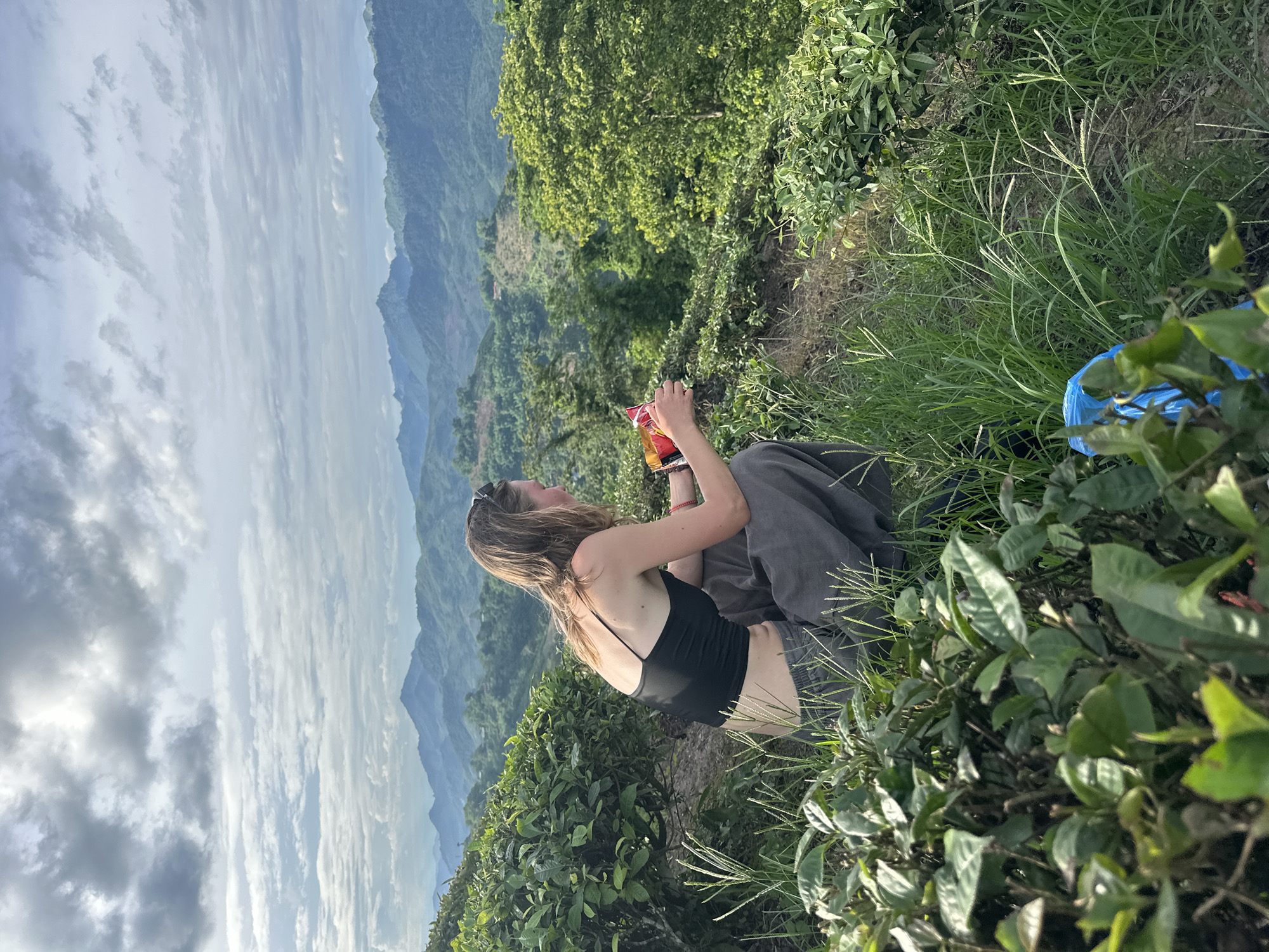 Tourists photograph dragon fruit harvest at Vietnam tea plantation