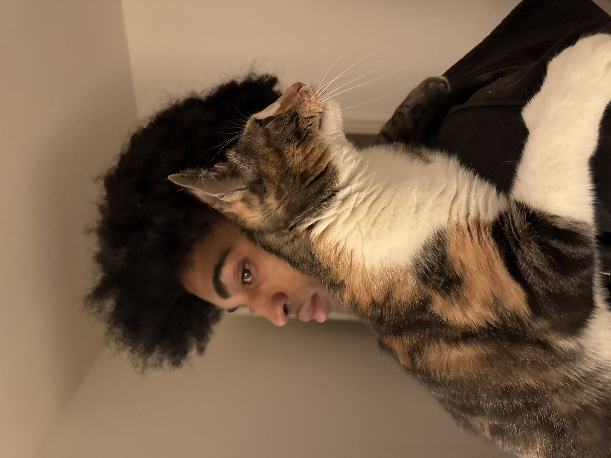 Evening hangout with friends and pets in Paris apartment