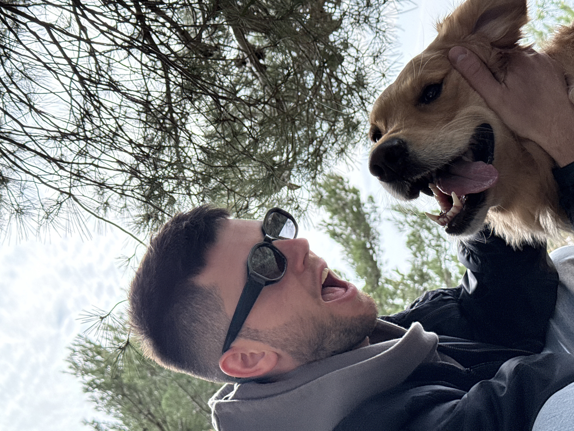 Coastal dog walk and photo session in Montenegro
