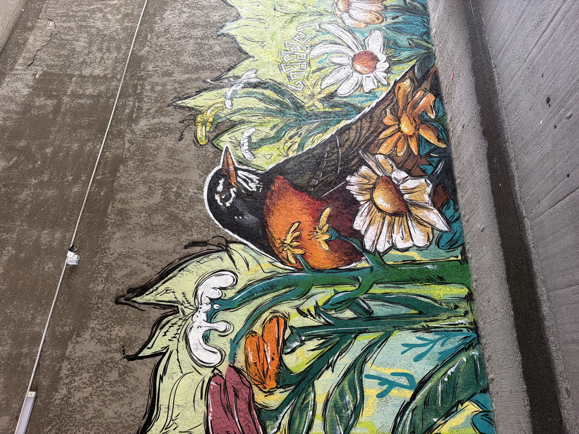 Street murals along a Batumi wall mix nature and cityscape themes