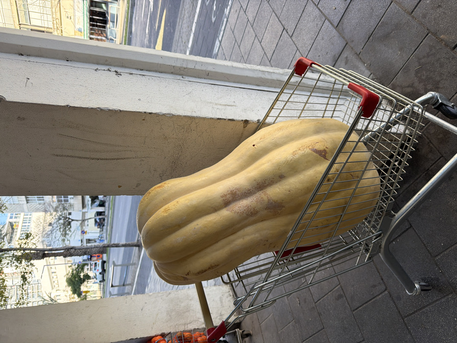 Yellow squash spotted in shopping cart in Tel Aviv
