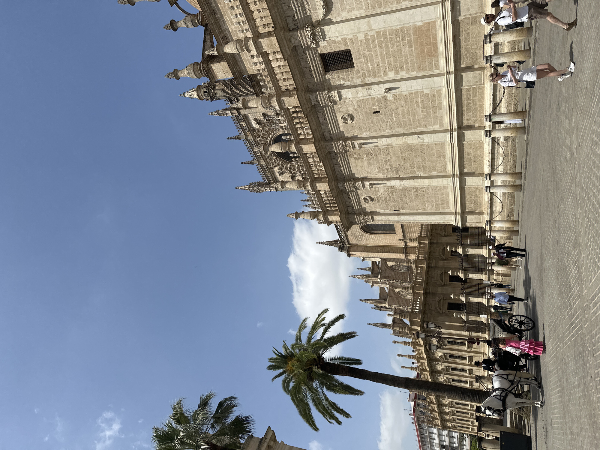 Sunny midday scenes documented at Seville Cathedral, Spain