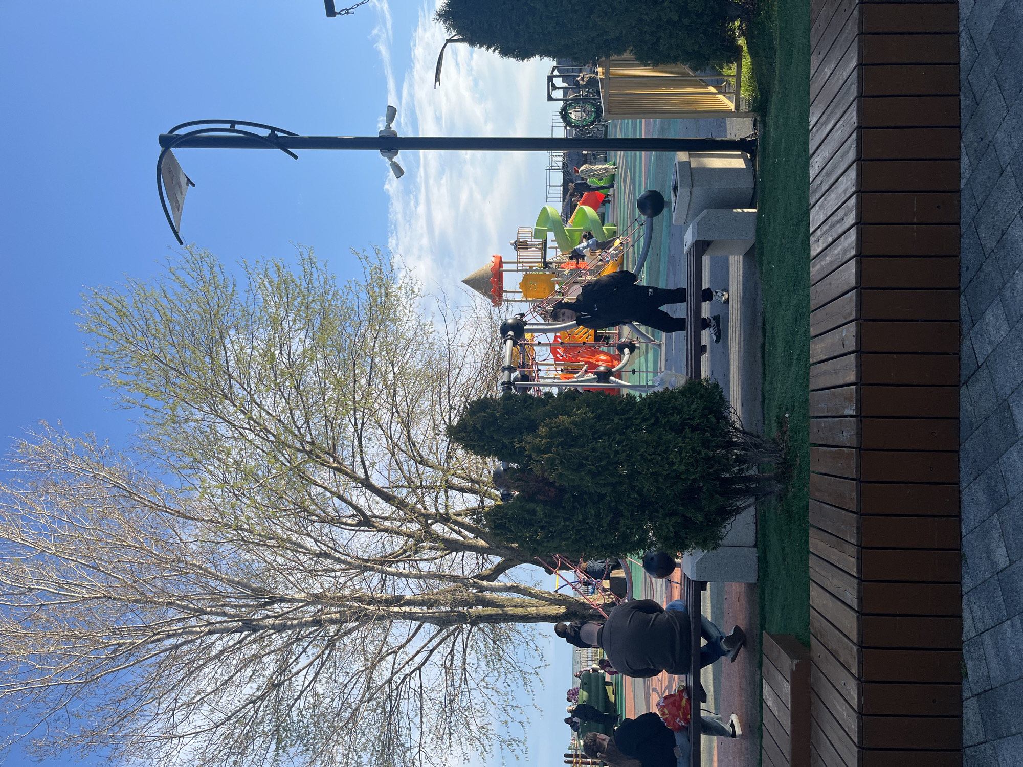 Afternoon life documented across Sochi's parks, restaurants, waterfront