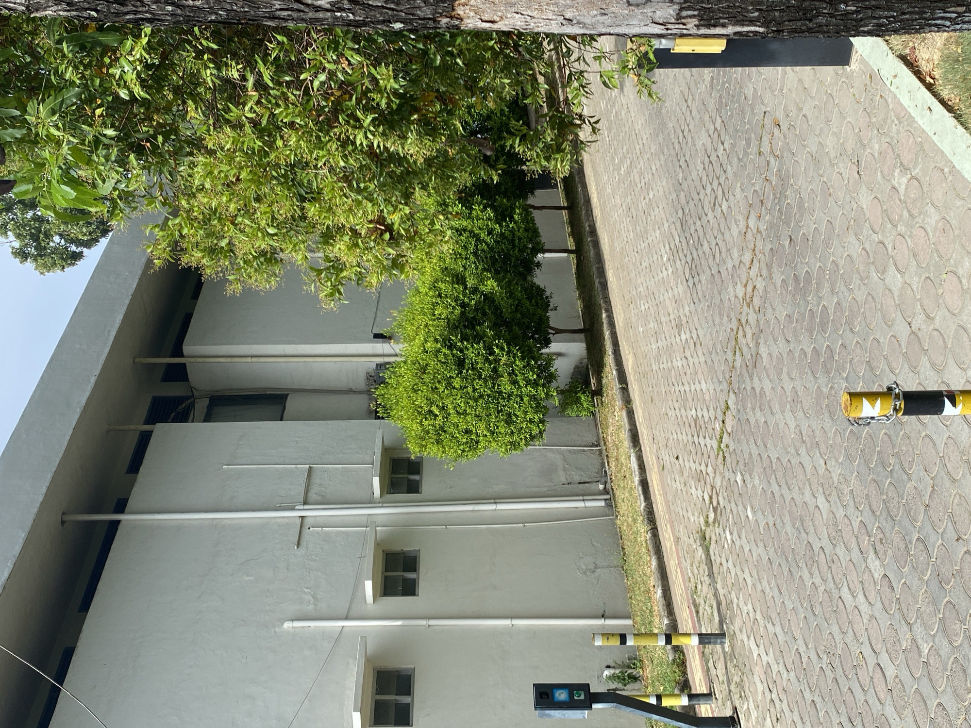 Morning routines and street-level scenes around an urban civic area