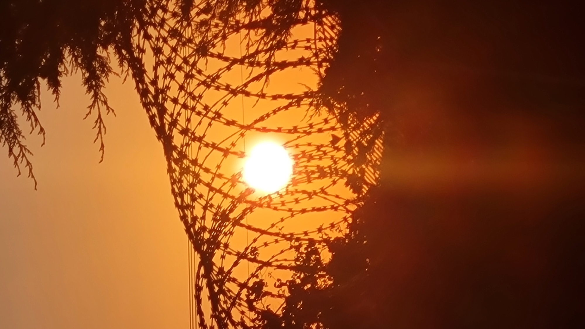 Celestial display observed over Lachish Regional Council, Israel