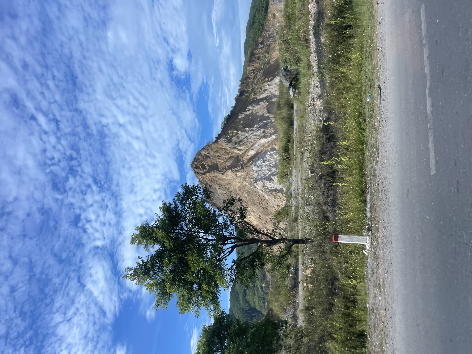 Lone tree faces heavily quarried mountain in Cam Lộ, Vietnam