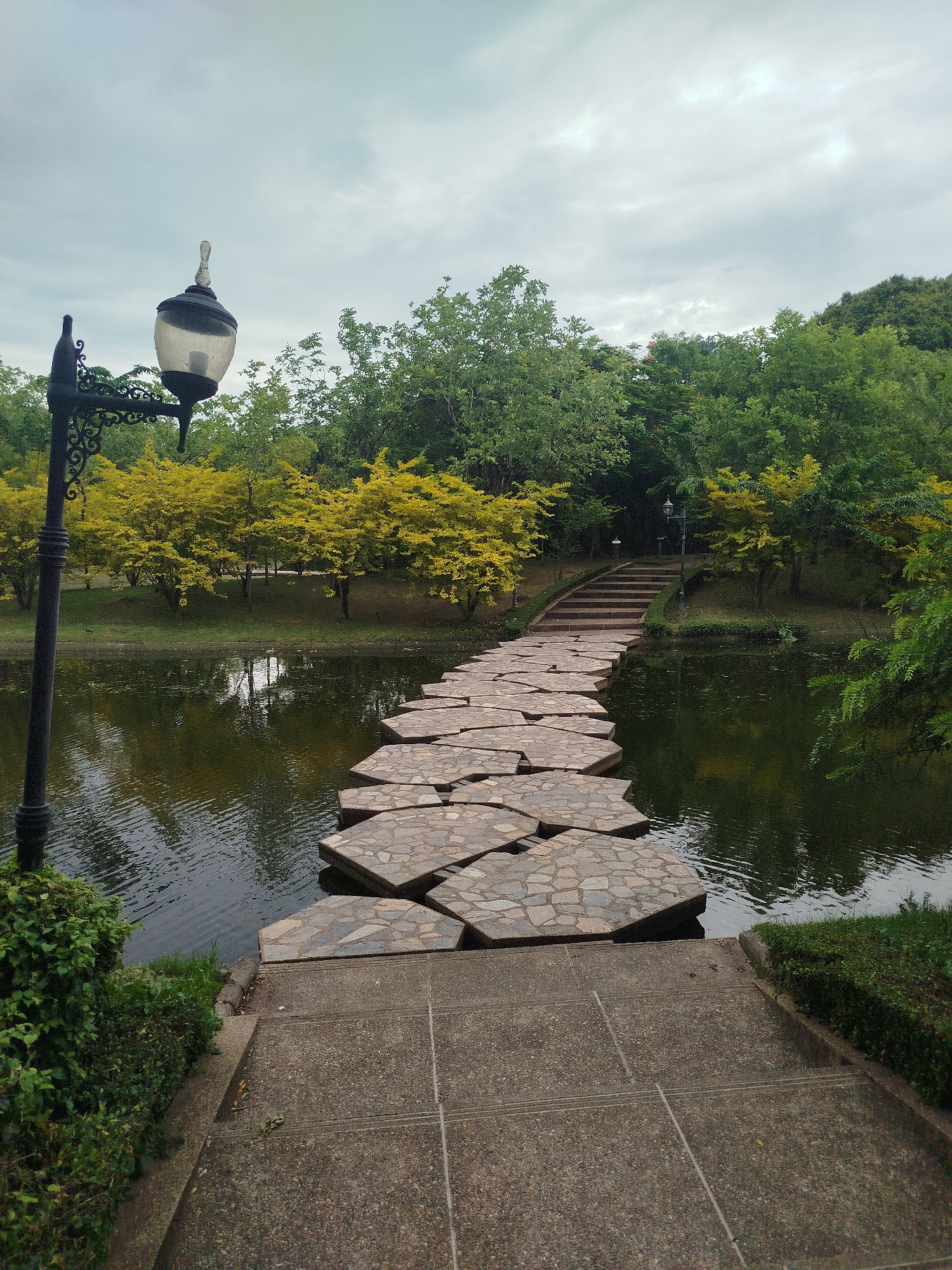 Peaceful Bangkok park pond, early morning