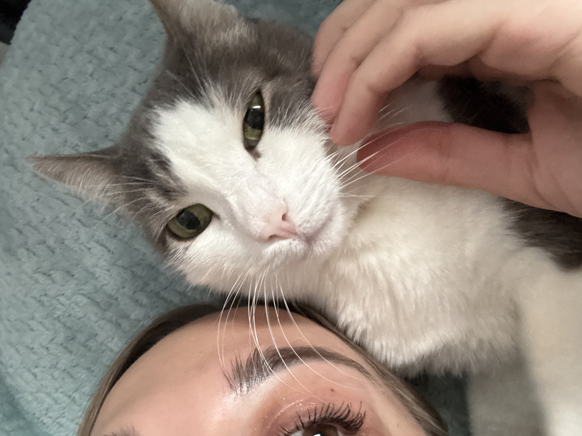 Person rests with cat on blue surface in Ust-Ilimsk