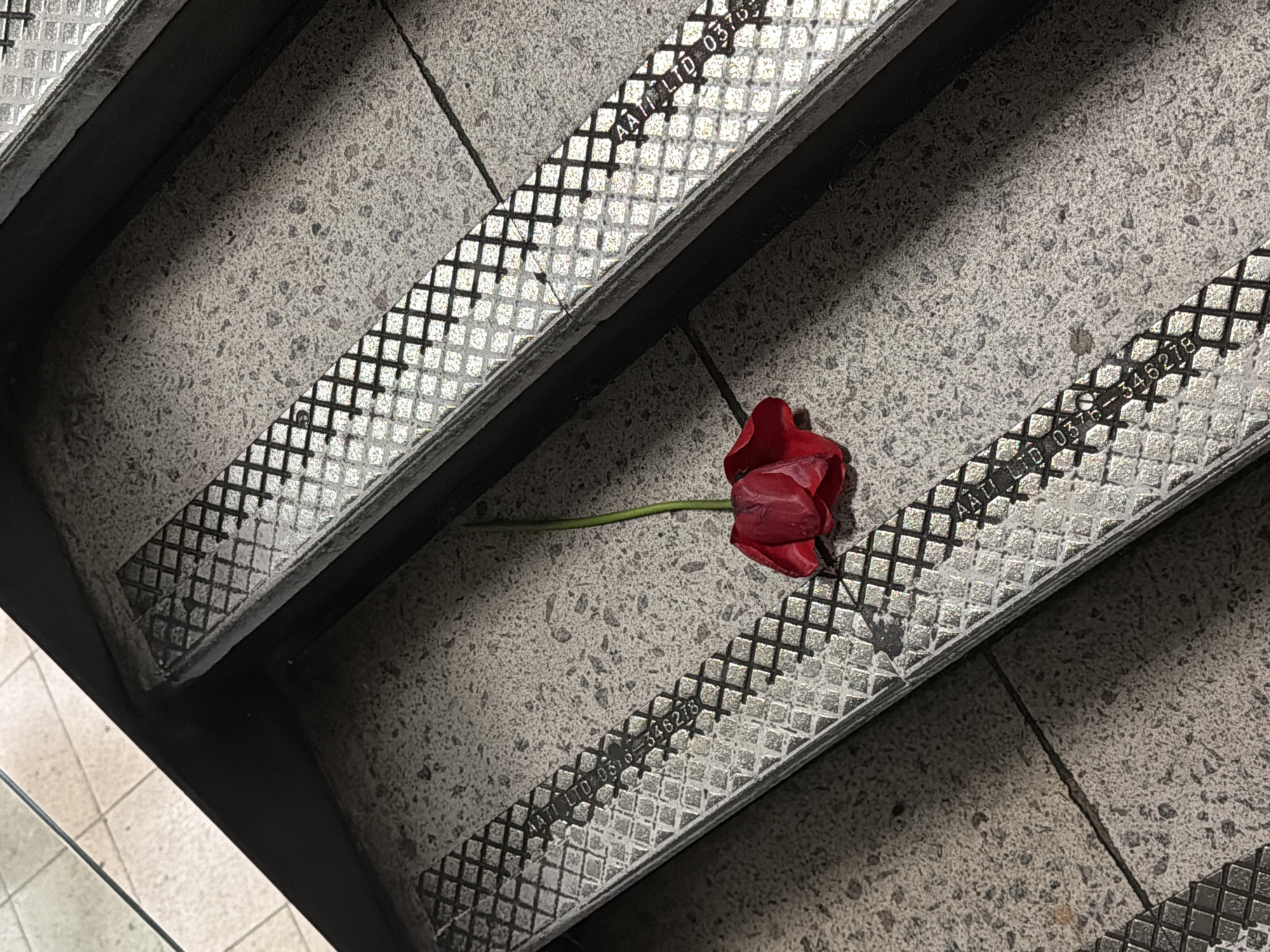 Red flower found on London staircase