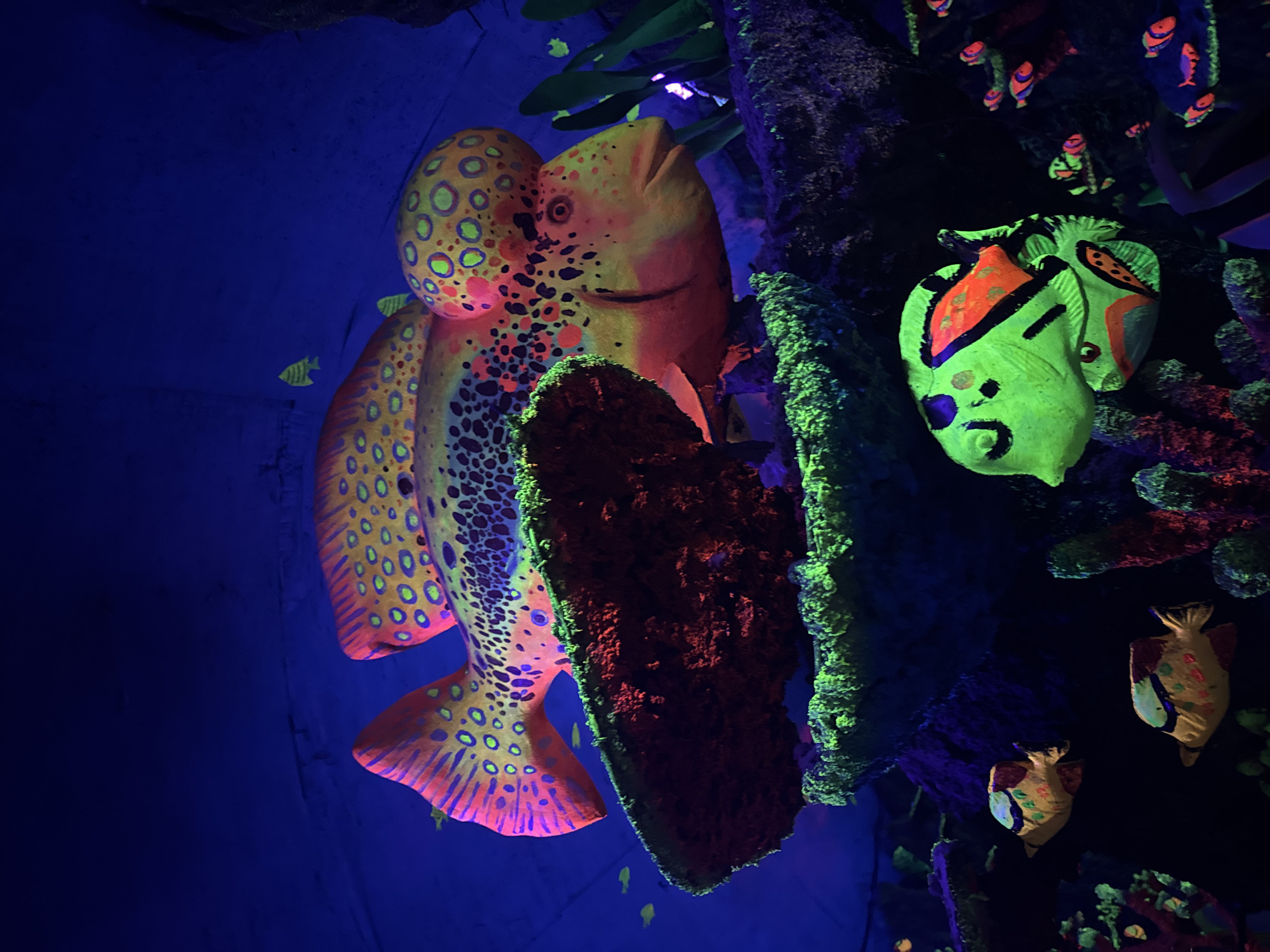 Visitors explore glowing underwater fantasy exhibit in Vietnam