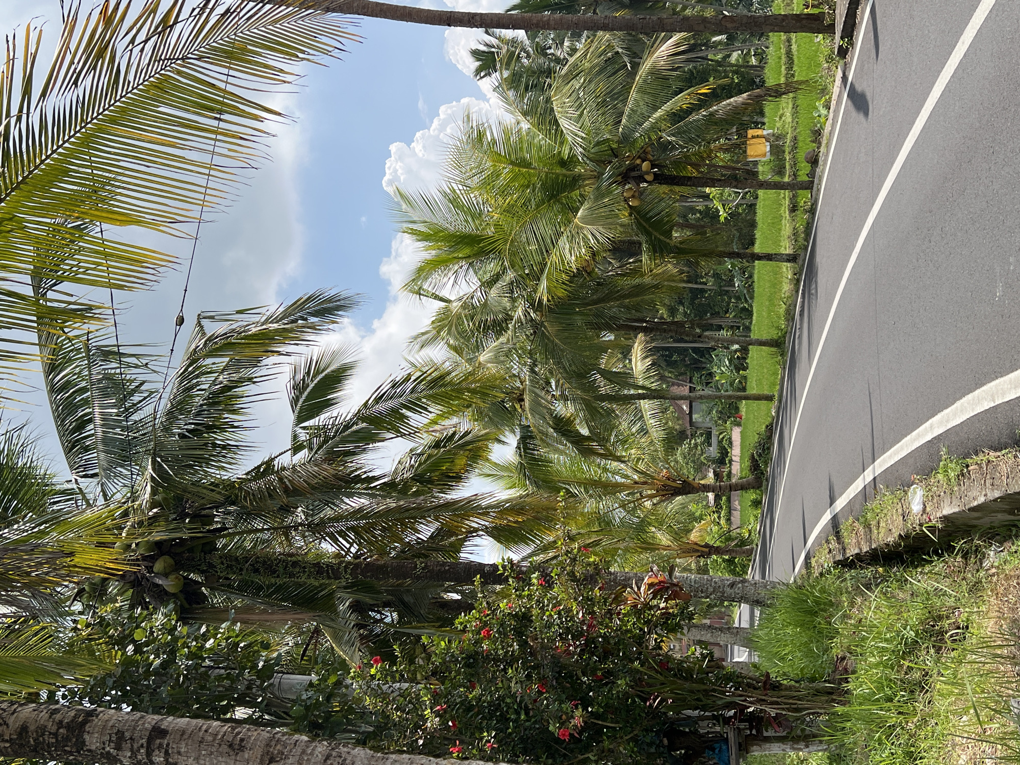 Woman takes motorcycle selfie in Ubud, Indonesia