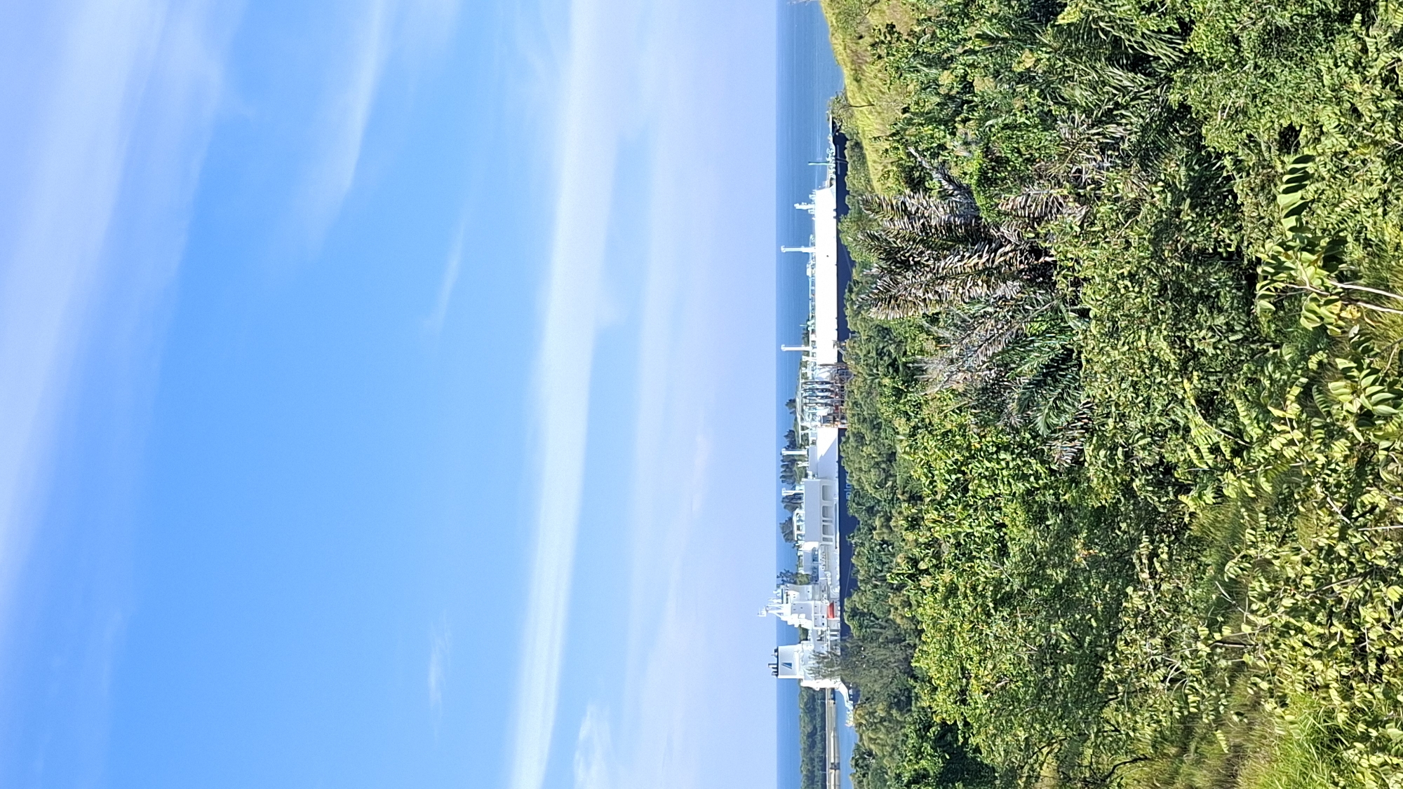 Hilltop berry picking with an LNG tanker anchored offshore