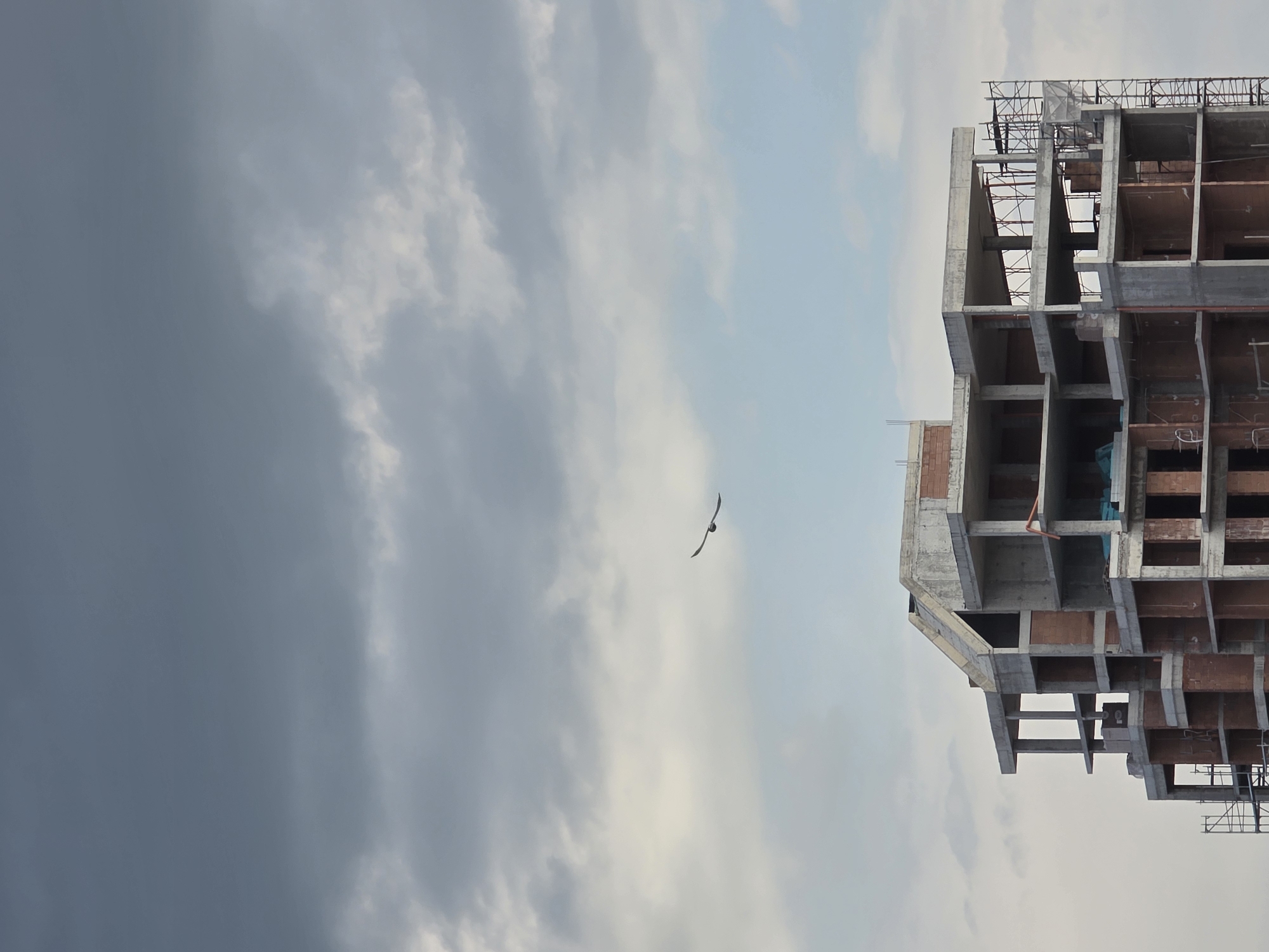Daily moments captured across Plovdiv construction and warehouse sites