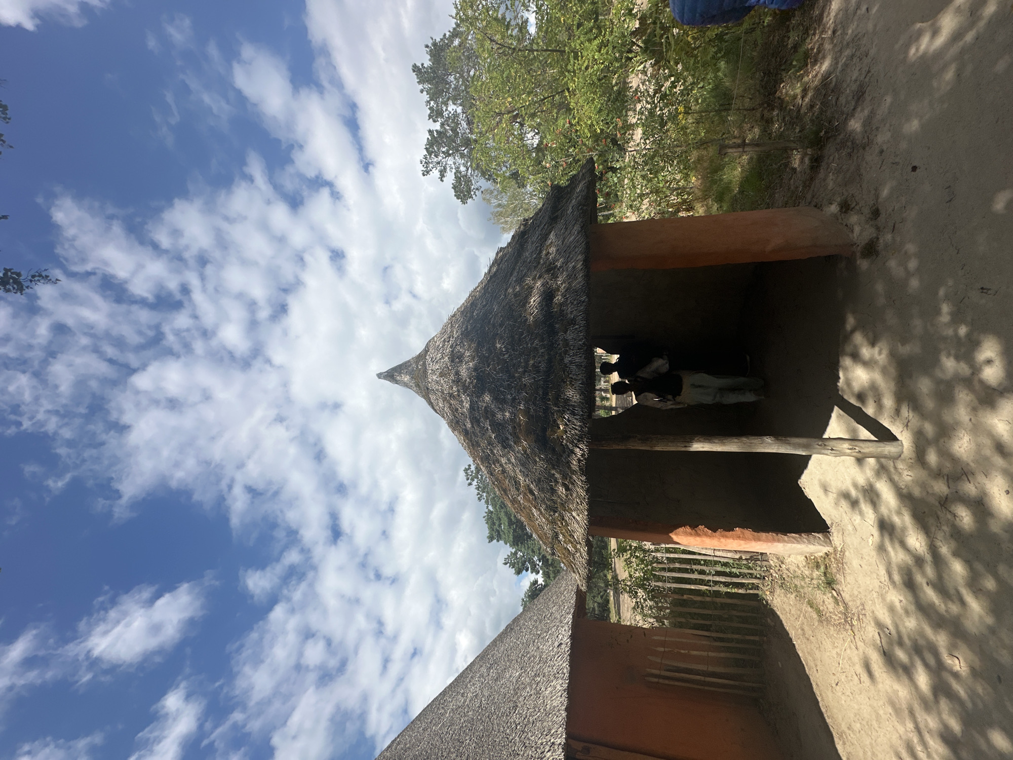 Elephants and thatched huts at Beekse Bergen safari park