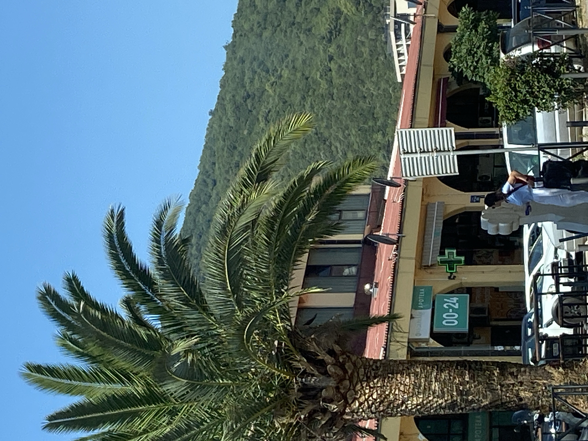 Café morning and a peacock enclosure in Budva, Montenegro