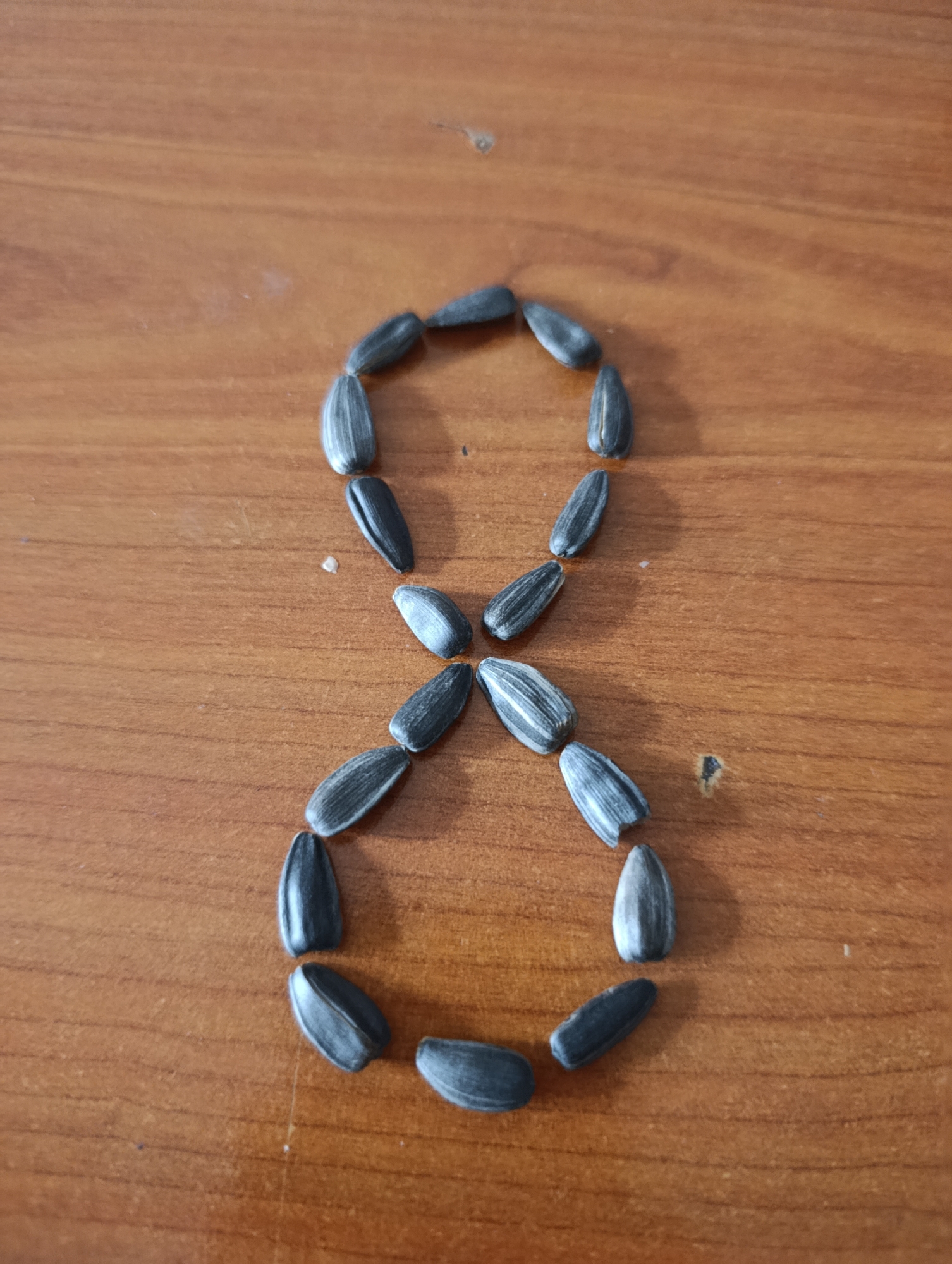 Sunflower seeds arranged into numbers and letters in Kazakhstan
