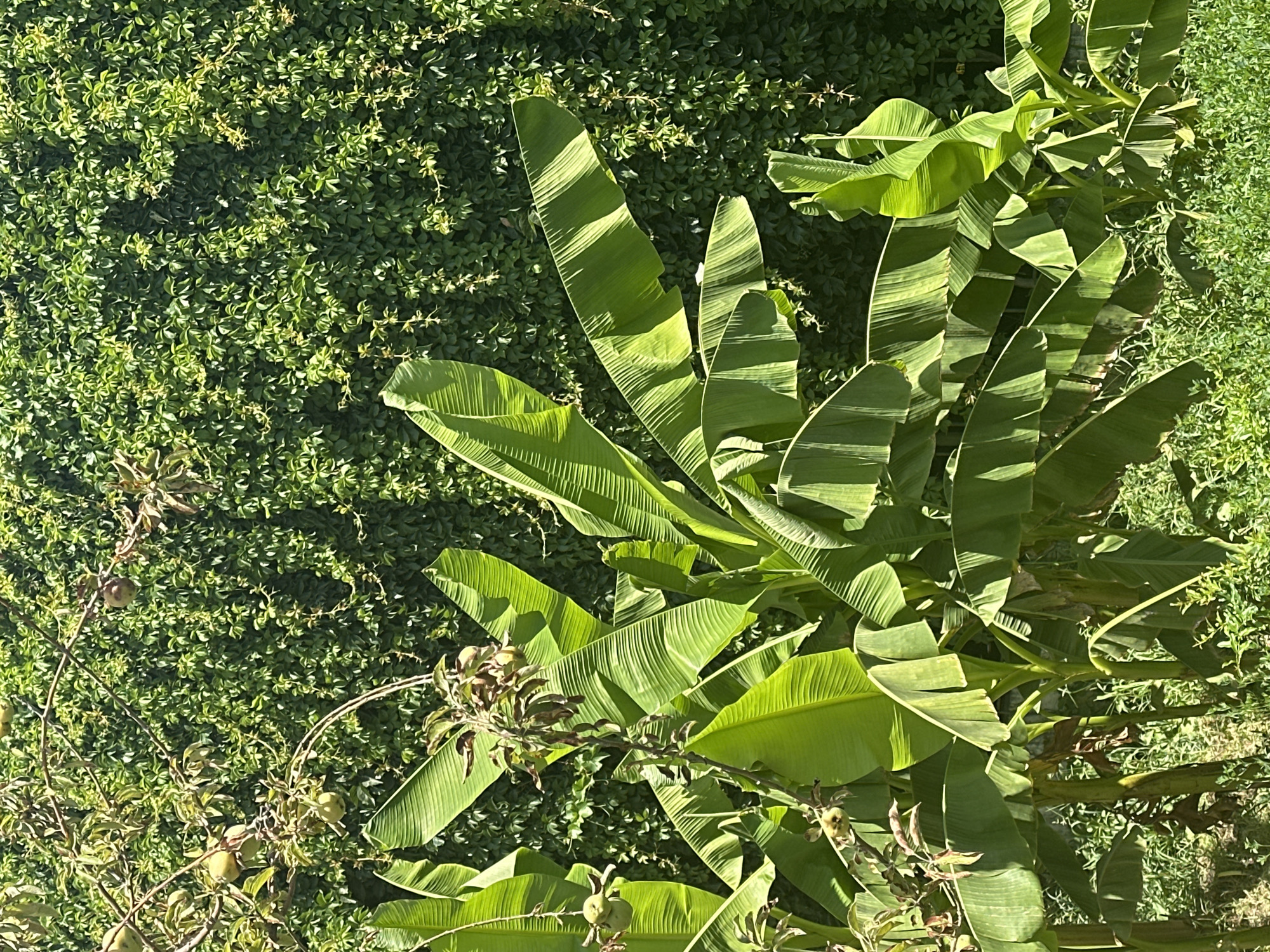 Bulungur, Uzbekistan