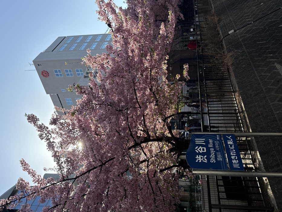 Shibuya River sign spotted in Tokyo district