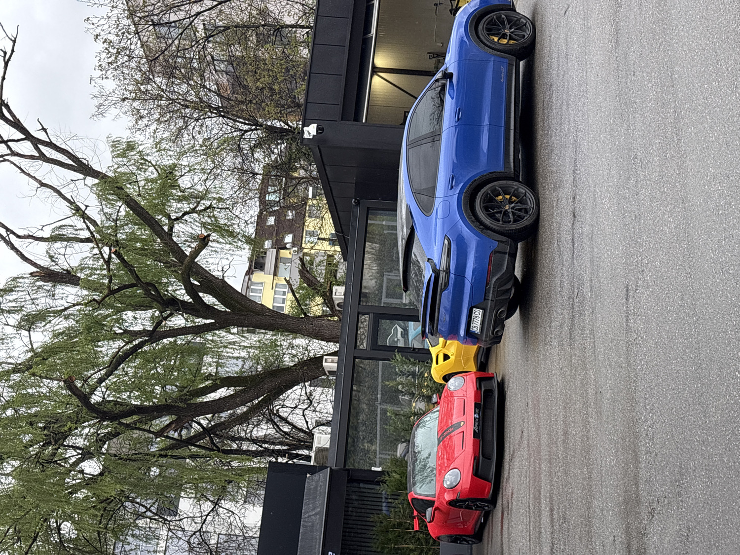 Sofia residents document luxury cars and baby on overcast Tuesday
