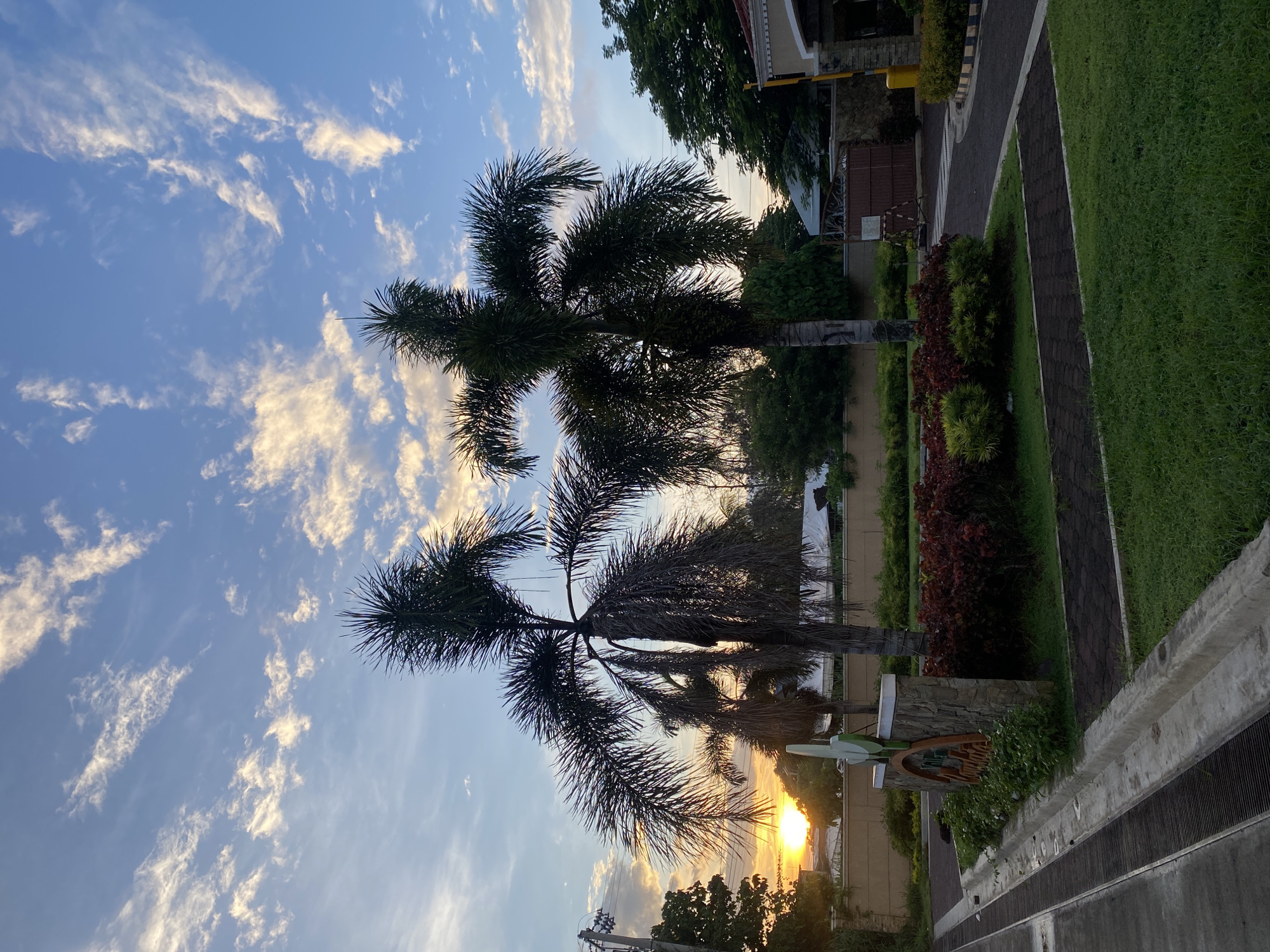 Evening documentation of Davao City streets and nature