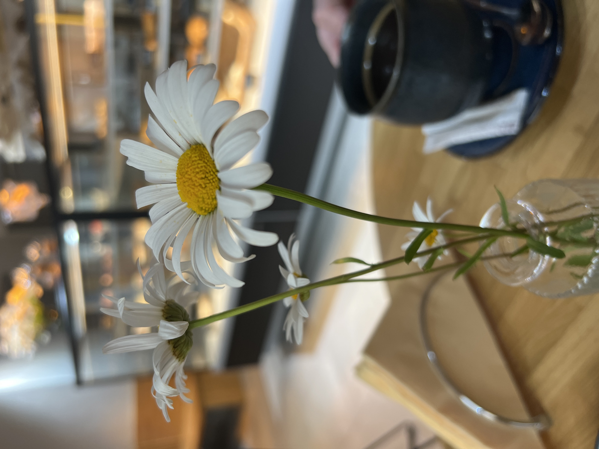 Cozy Russian café stop with pastries, coffee, and fresh daisies
