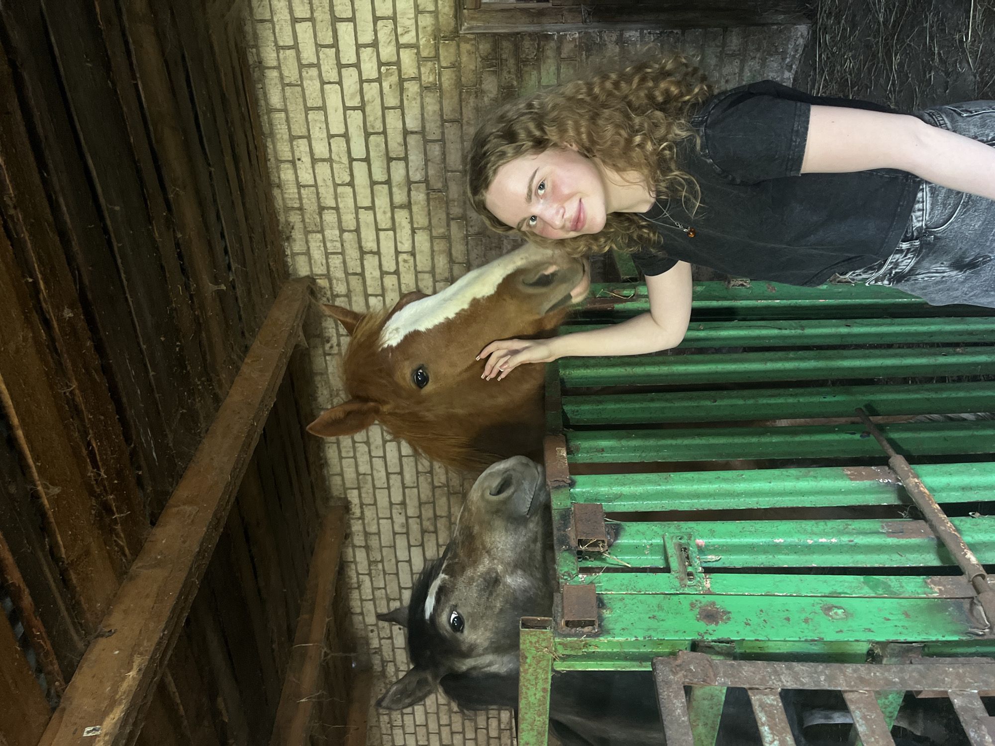 Woman tends horses at Russian stable in Krasnaya Gorka